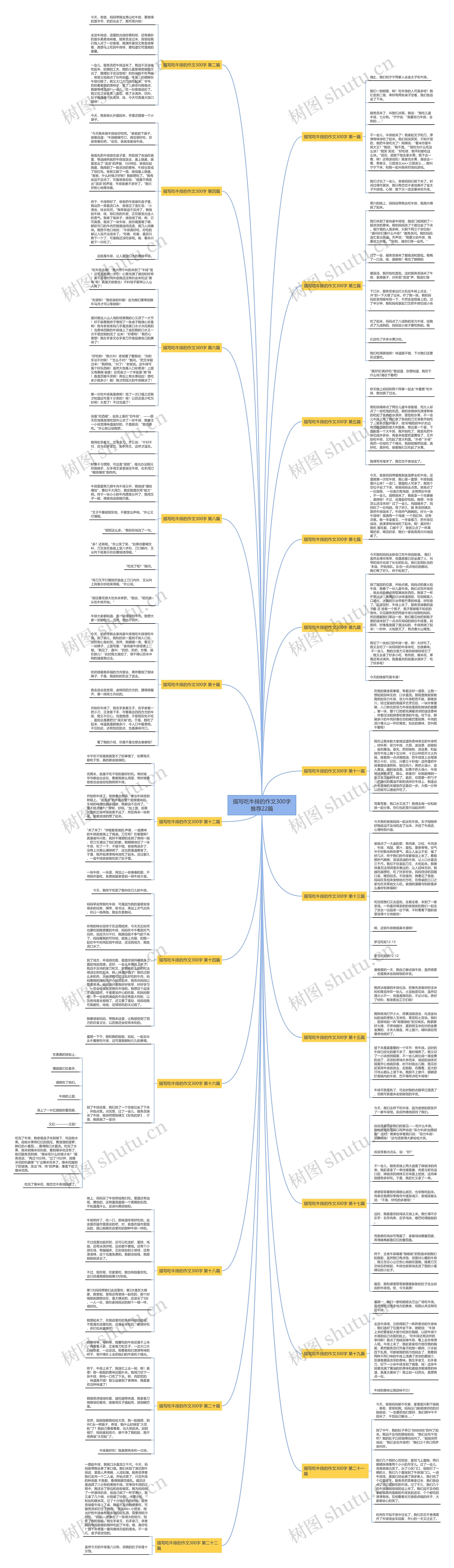 描写吃牛排的作文300字推荐22篇思维导图