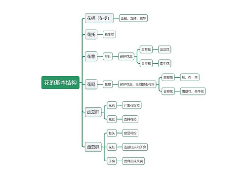 花的基本结构