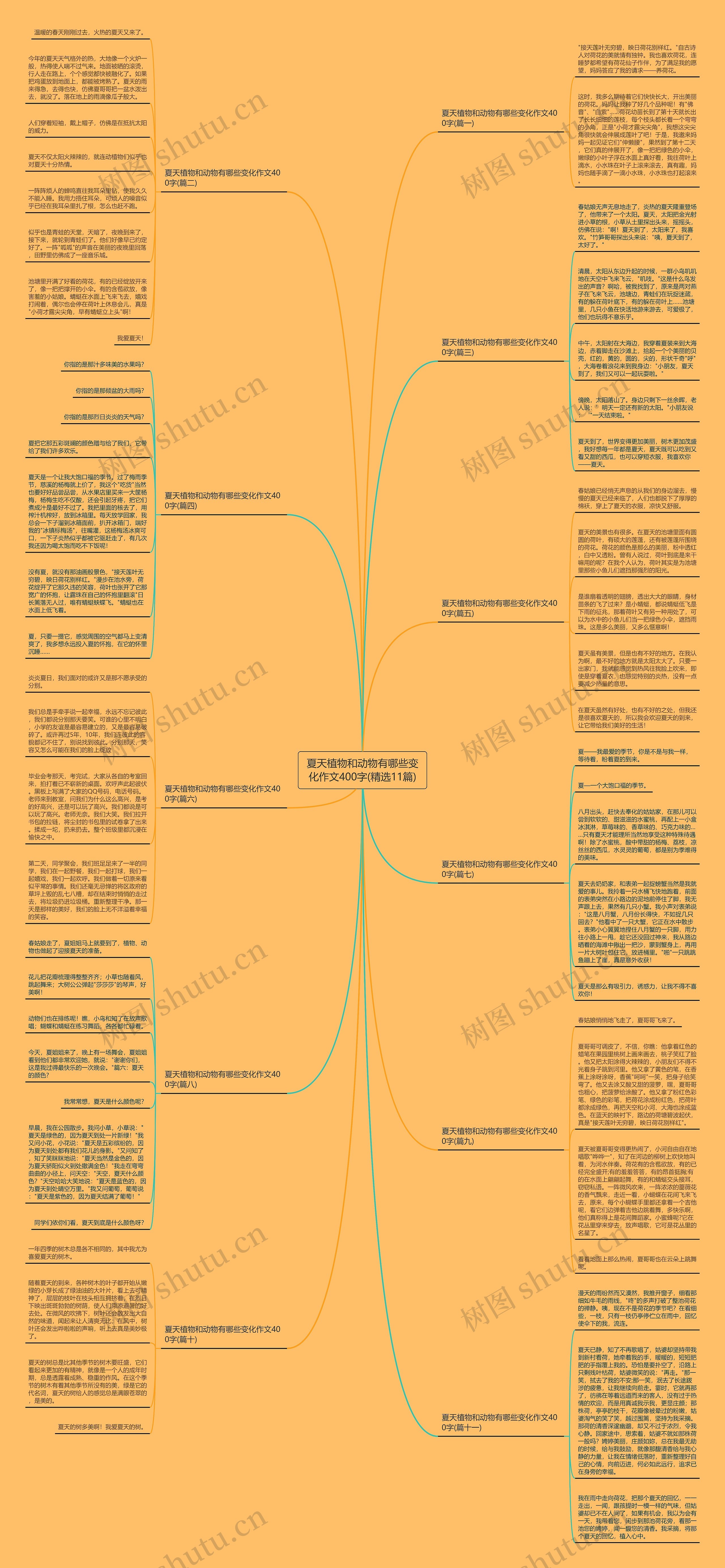 夏天植物和动物有哪些变化作文400字(精选11篇) 夏天植物和动物有哪些变化作文400字(精选11篇)