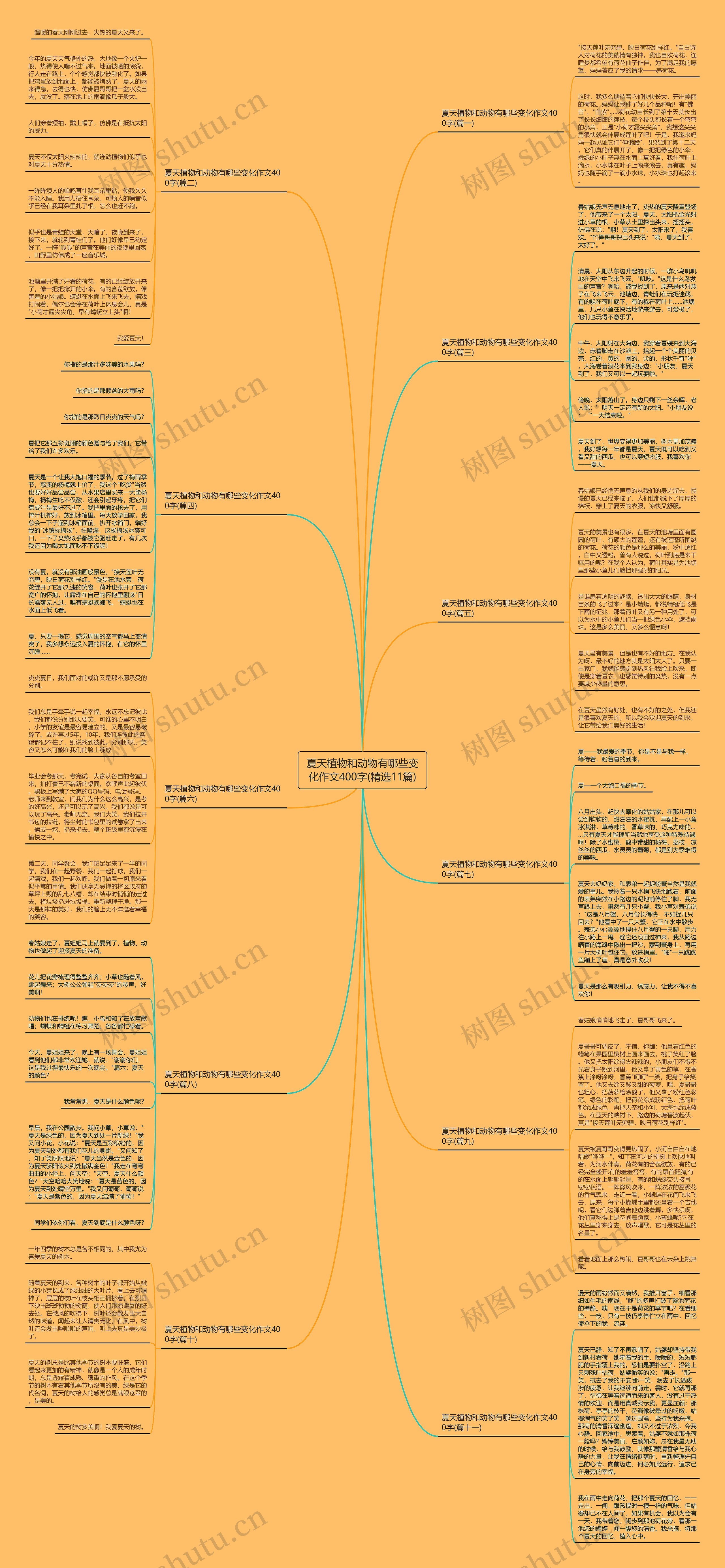 夏天植物和动物有哪些变化作文400字(精选11篇)思维导图