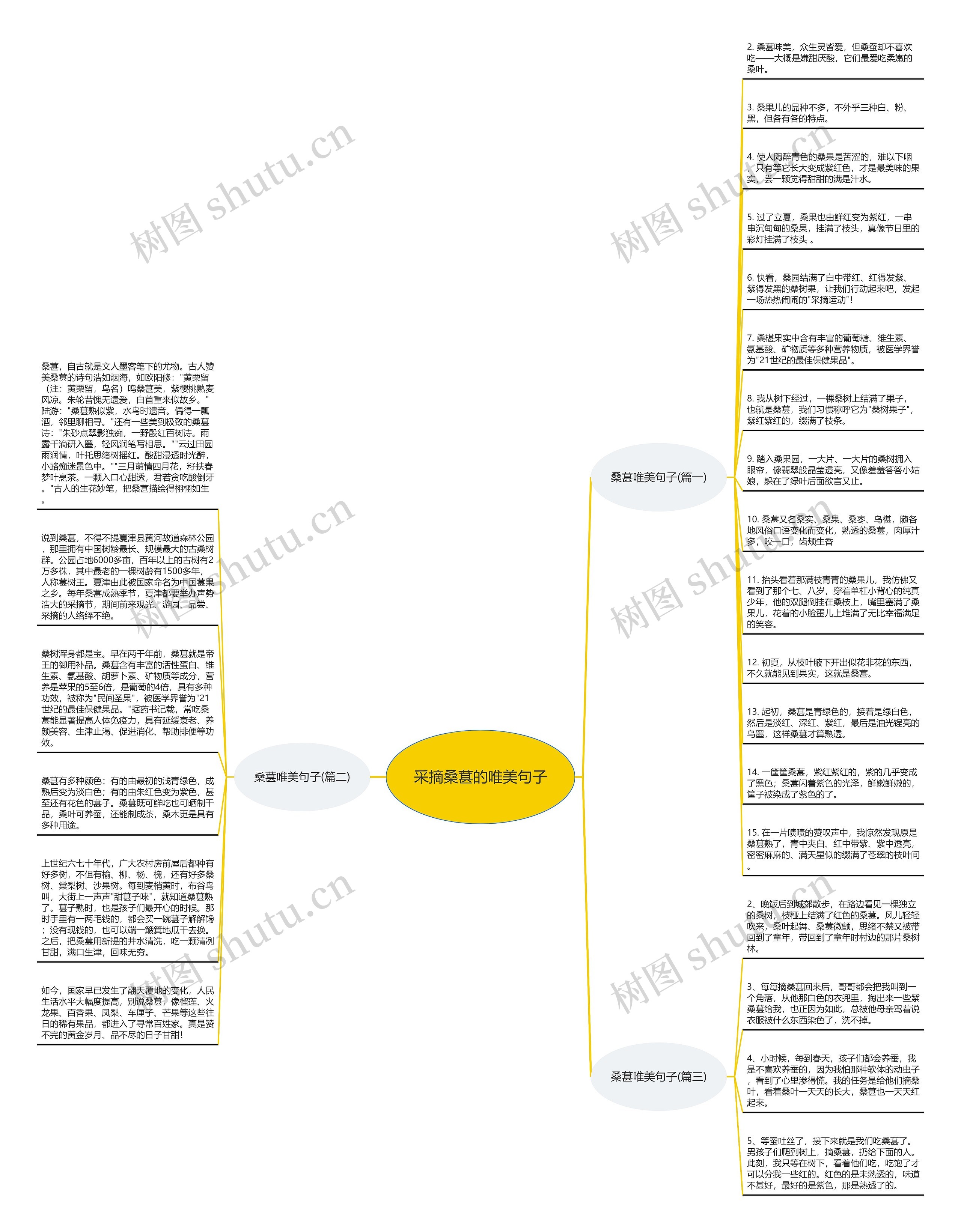 采摘桑葚的唯美句子思维导图