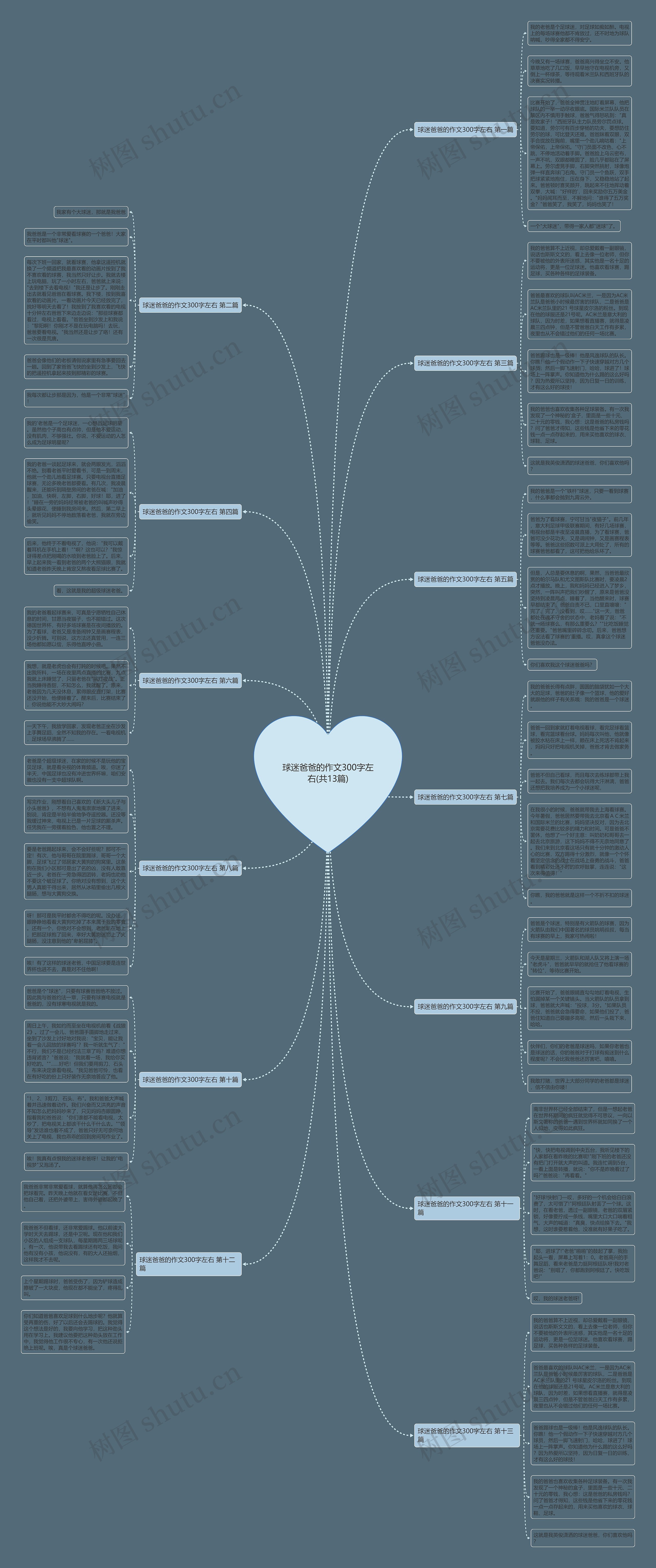 球迷爸爸的作文300字左右(共13篇) 球迷爸爸的作文300字左右(共13篇)