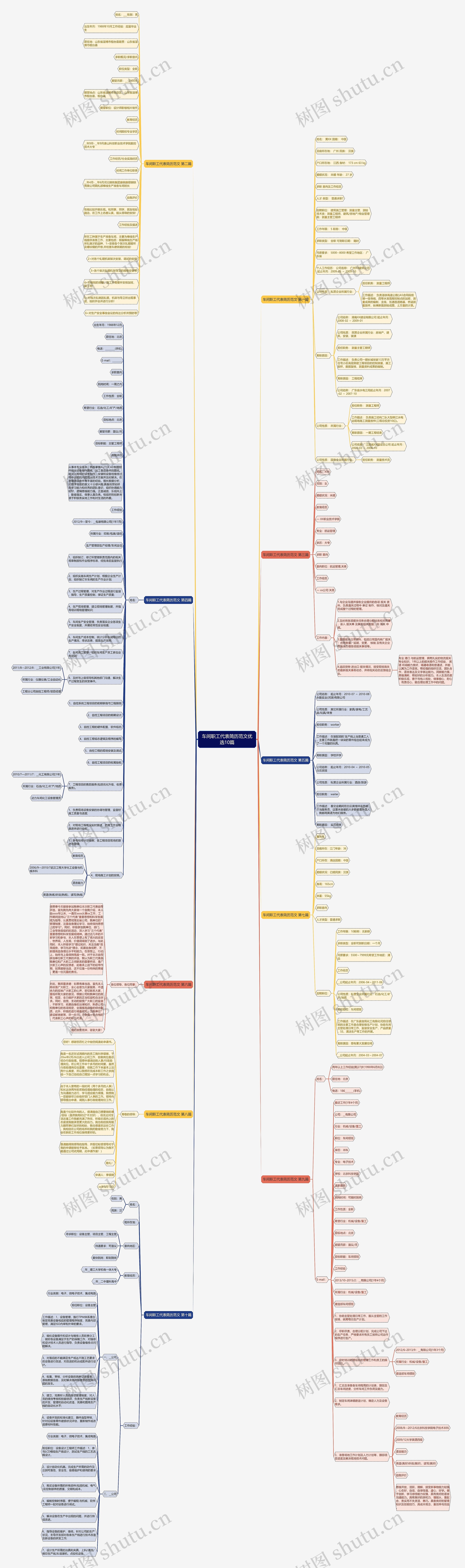 车间职工代表简历范文优选10篇思维导图