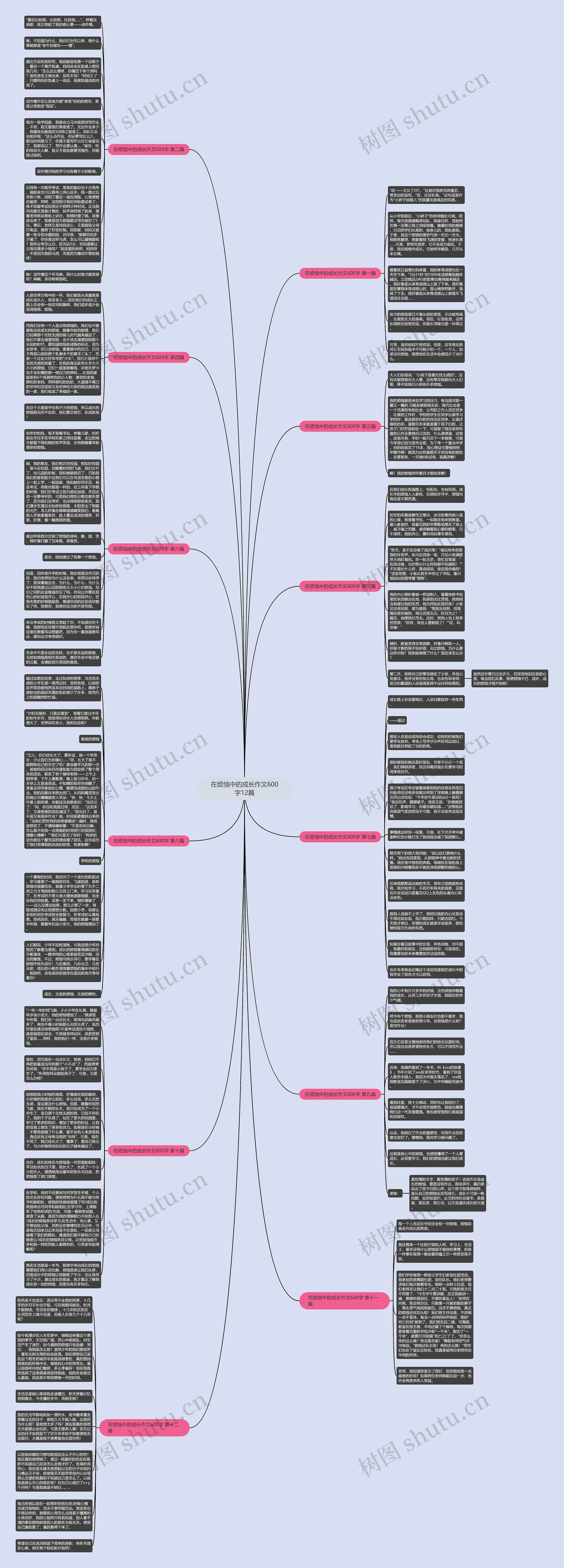 在烦恼中的成长作文600字12篇思维导图