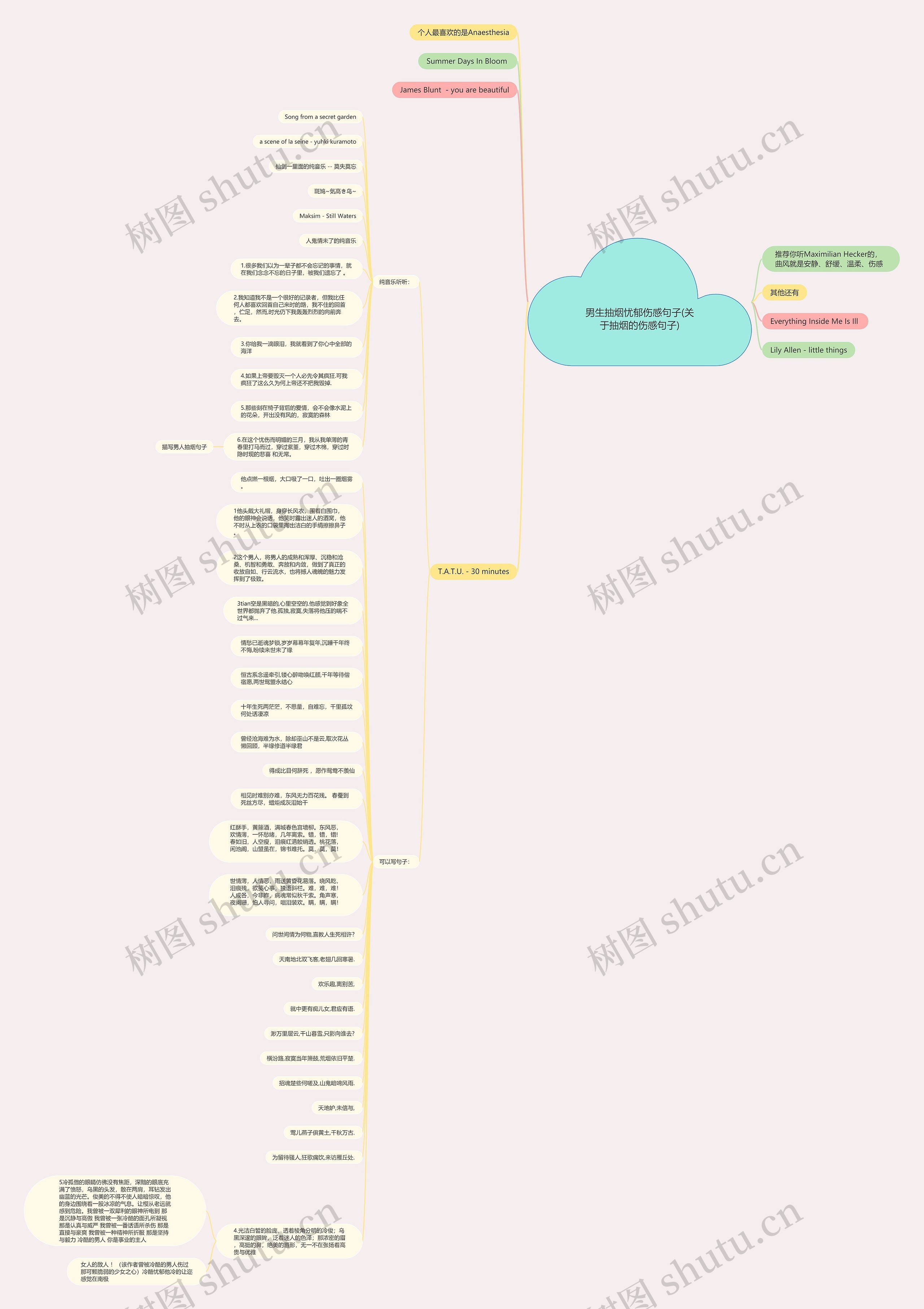 男生抽烟忧郁伤感句子(关于抽烟的伤感句子)思维导图