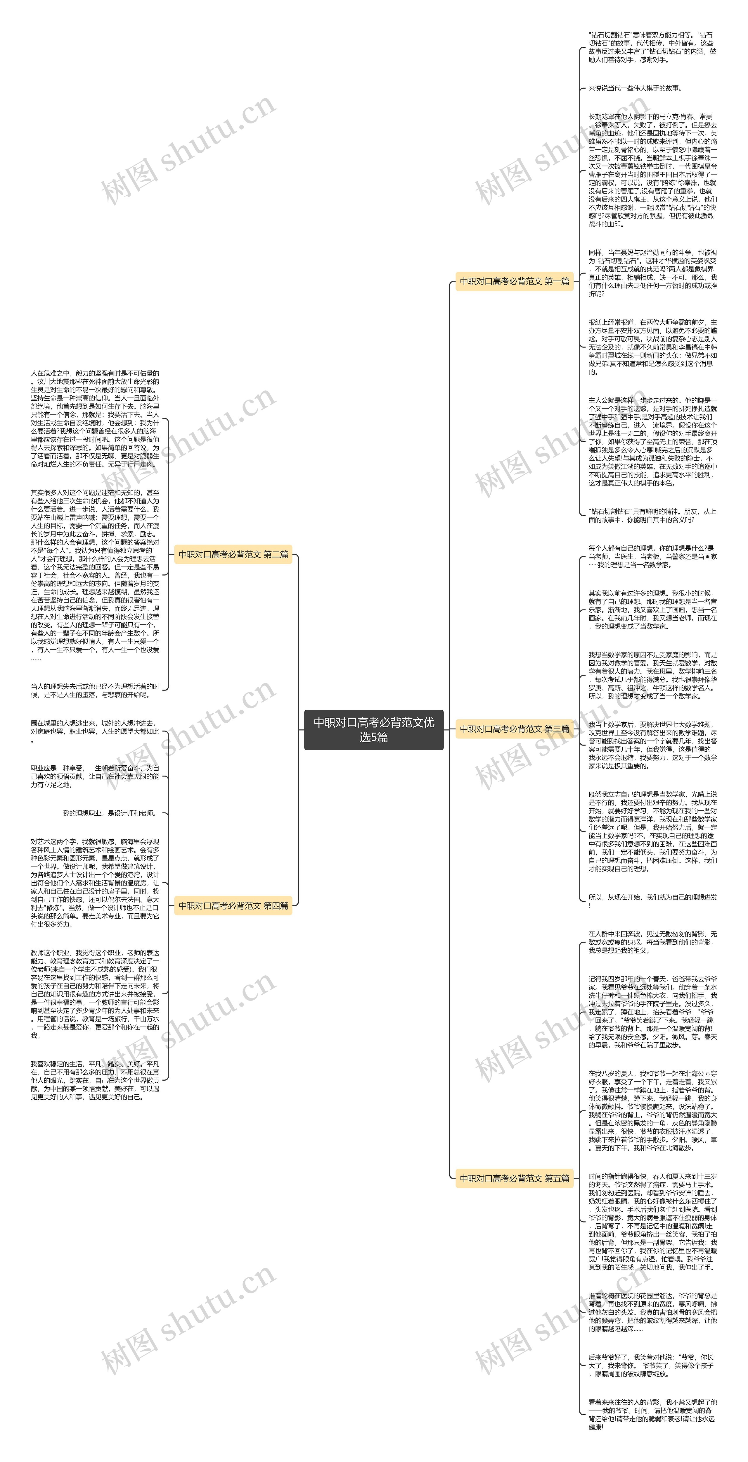 中职对口高考必背范文优选5篇思维导图
