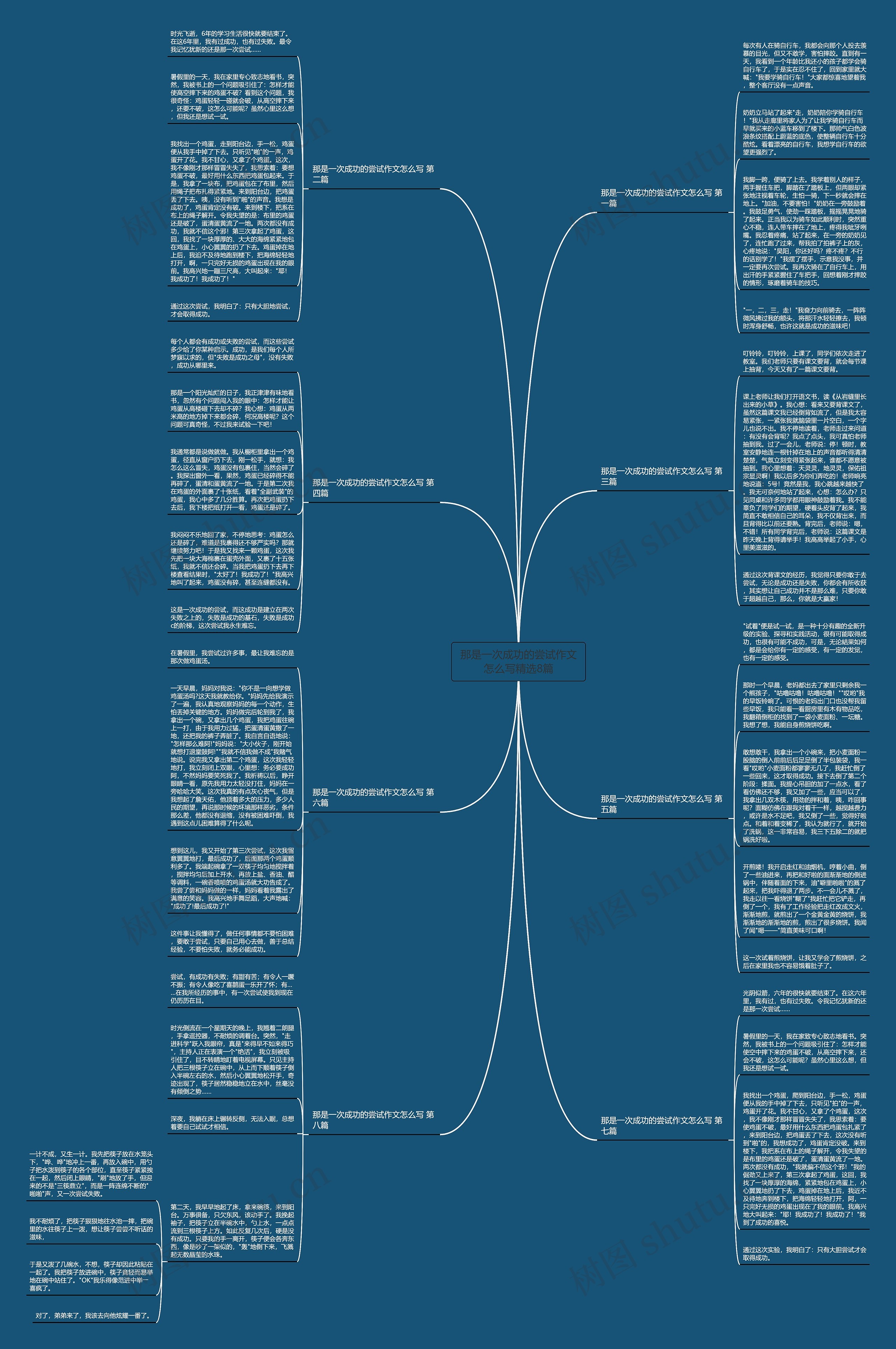 那是一次成功的尝试作文怎么写精选8篇思维导图