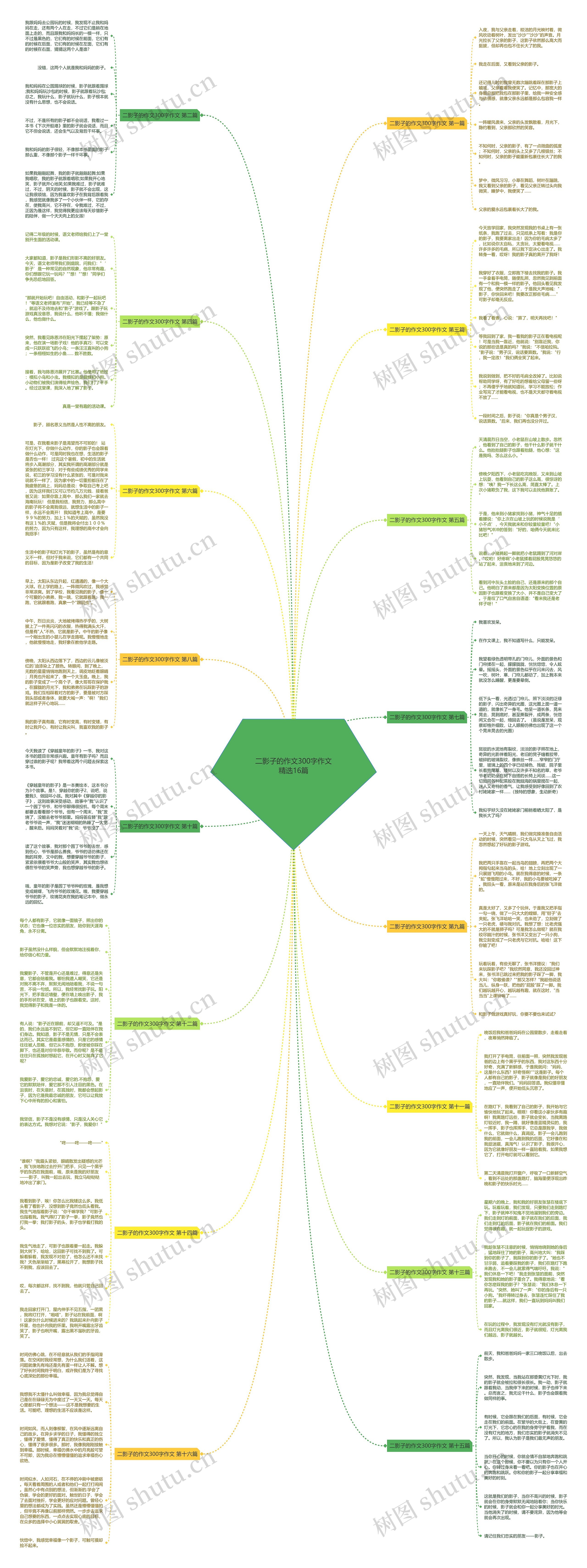 二影子的作文300字作文精选16篇思维导图