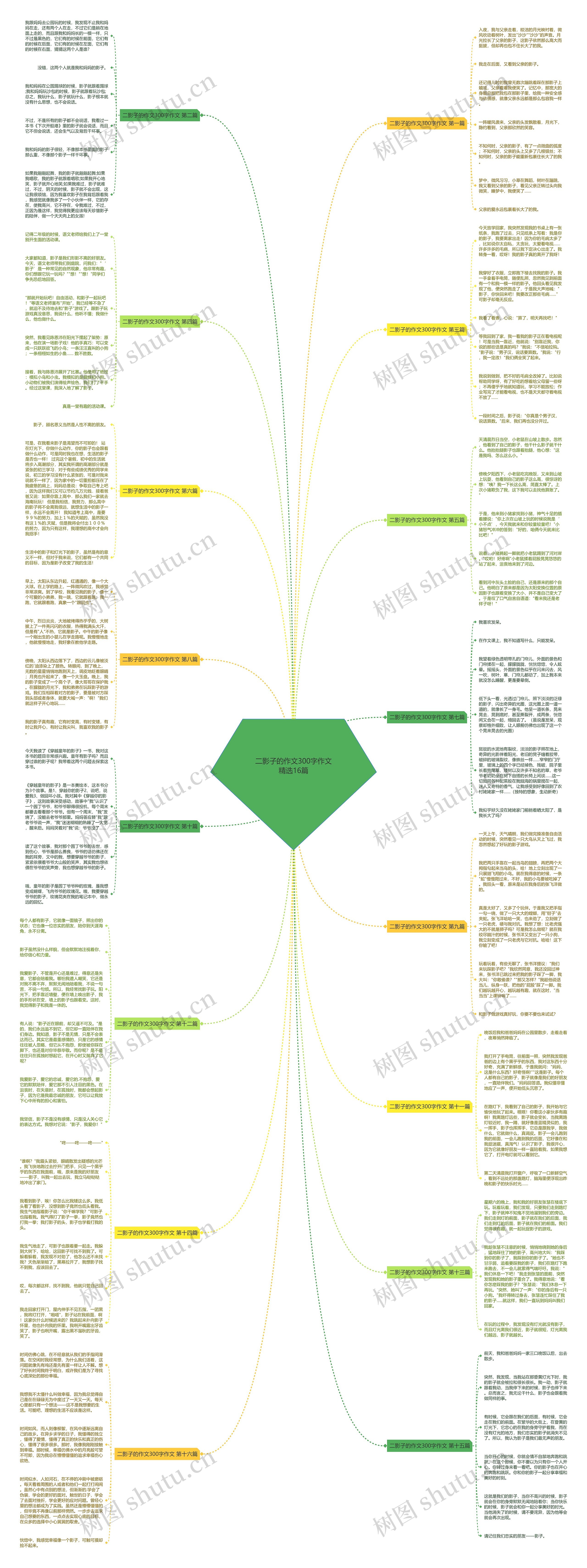二影子的作文300字作文精选16篇 二影子的作文300字作文精选16篇