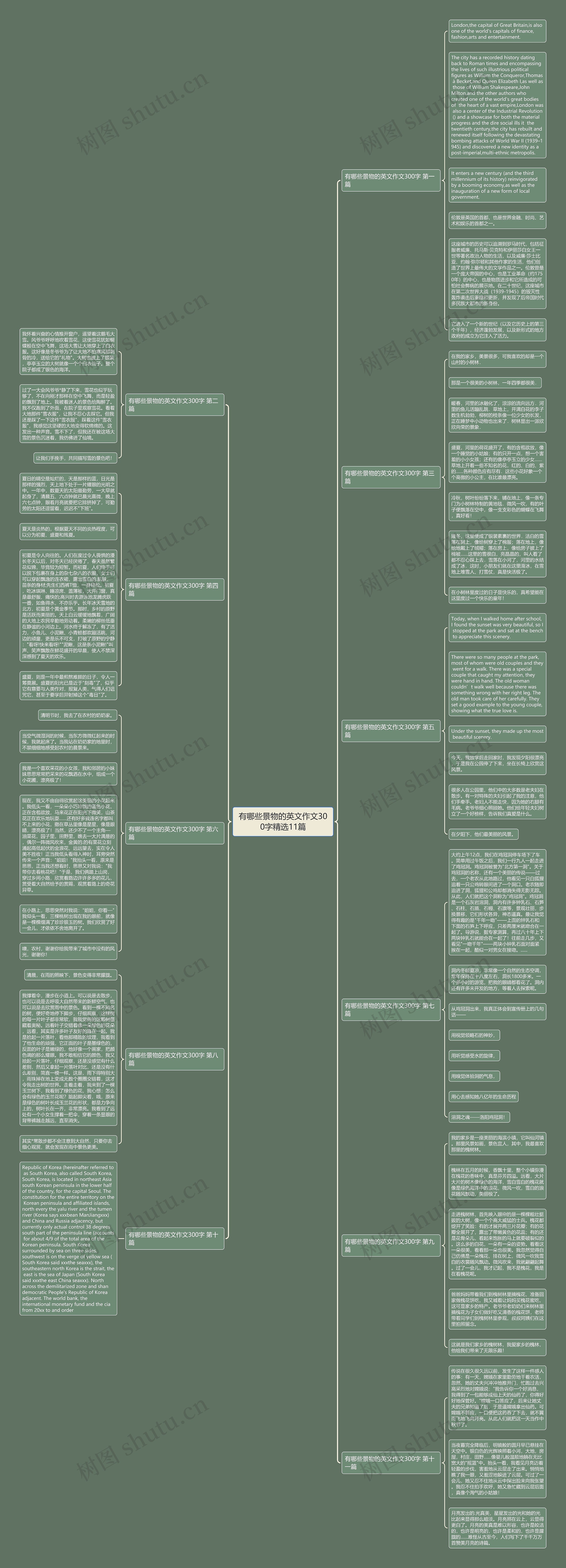 有哪些景物的英文作文300字精选11篇思维导图