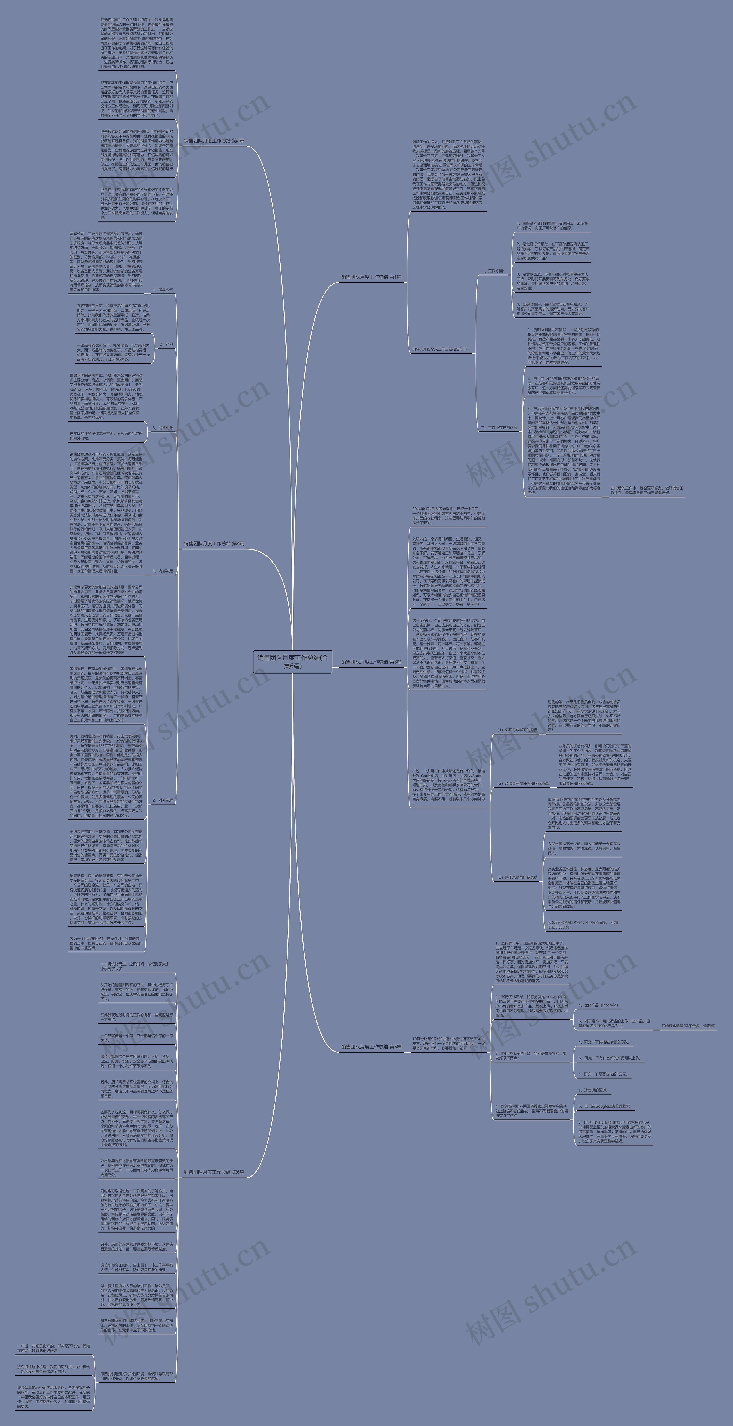 销售团队月度工作总结(合集6篇)思维导图