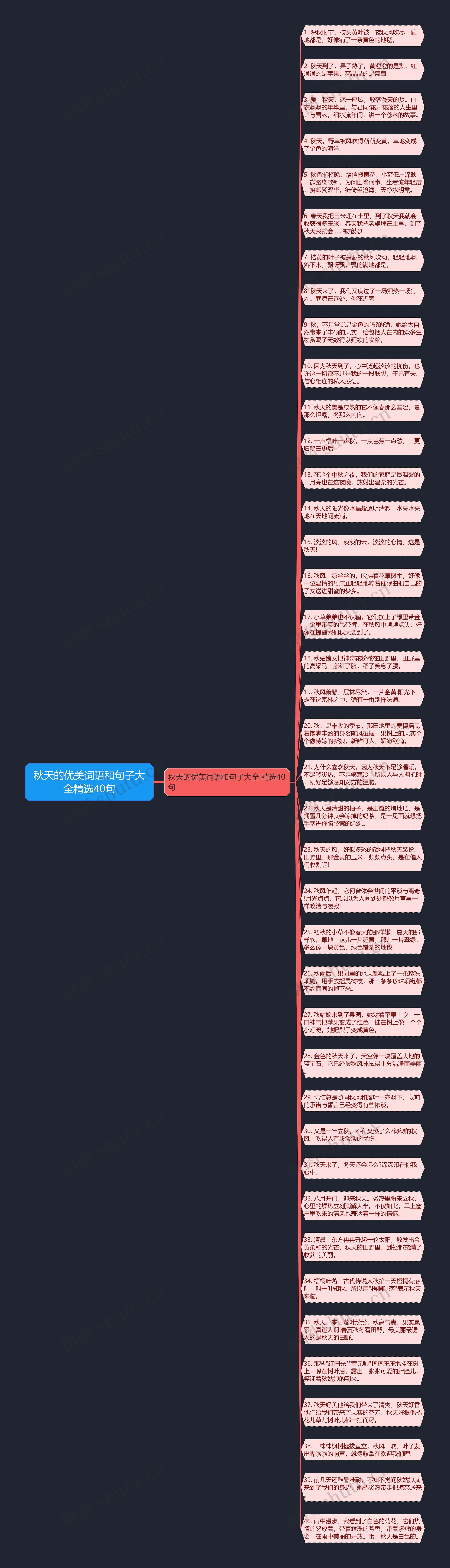 秋天的优美词语和句子大全精选40句思维导图