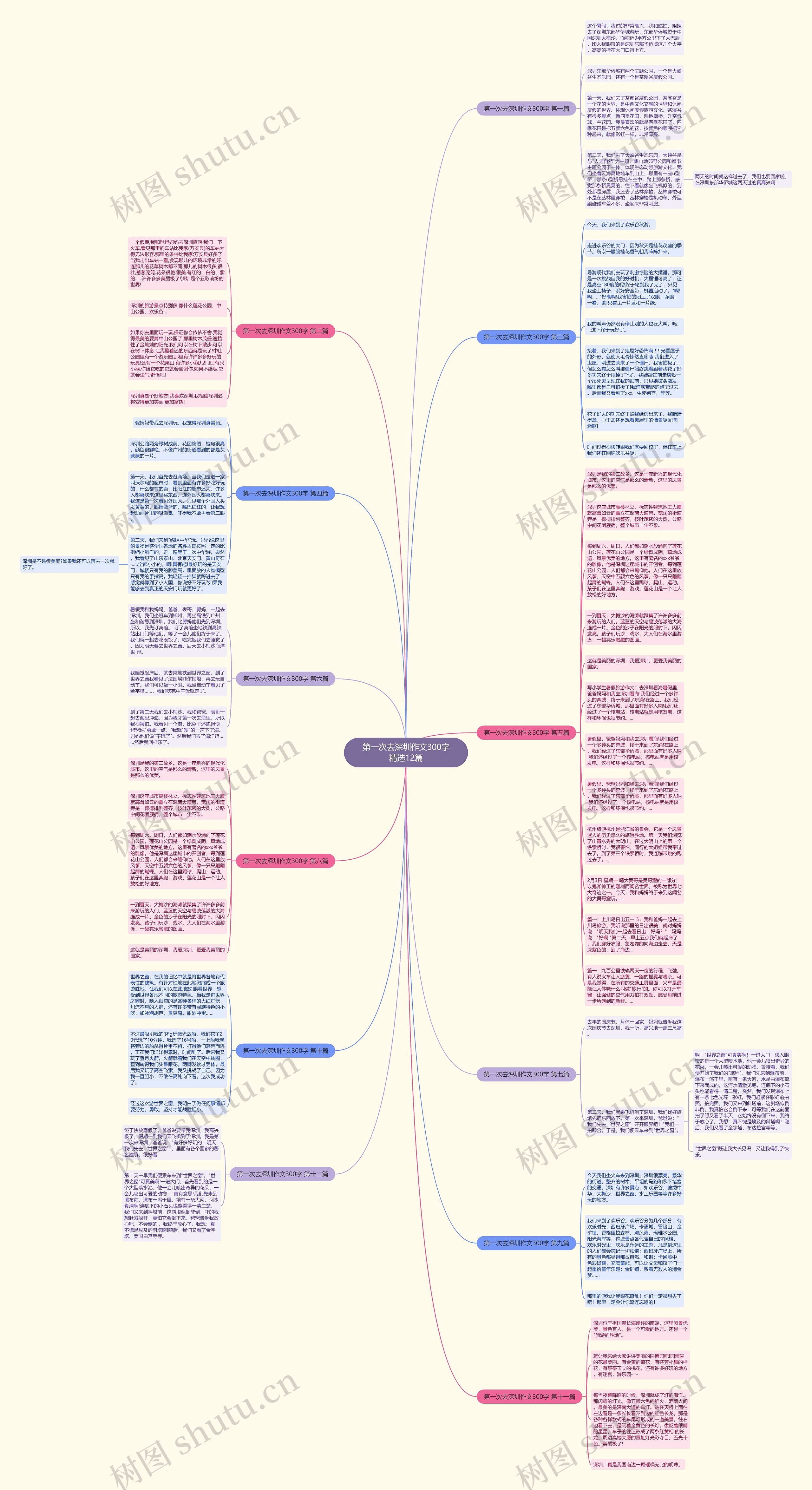第一次去深圳作文300字精选12篇