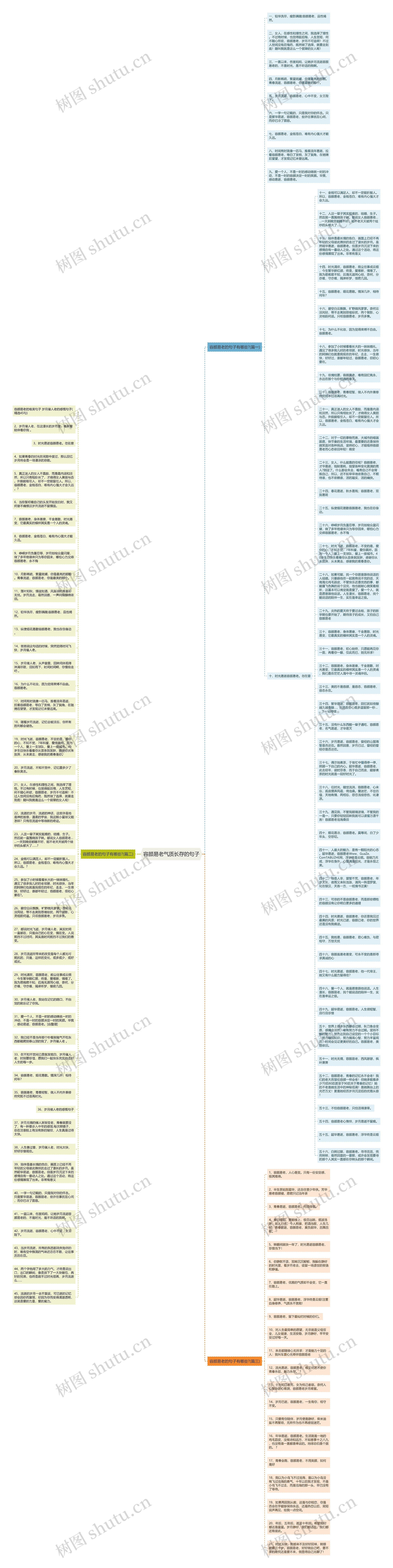 容颜易老气质长存的句子思维导图