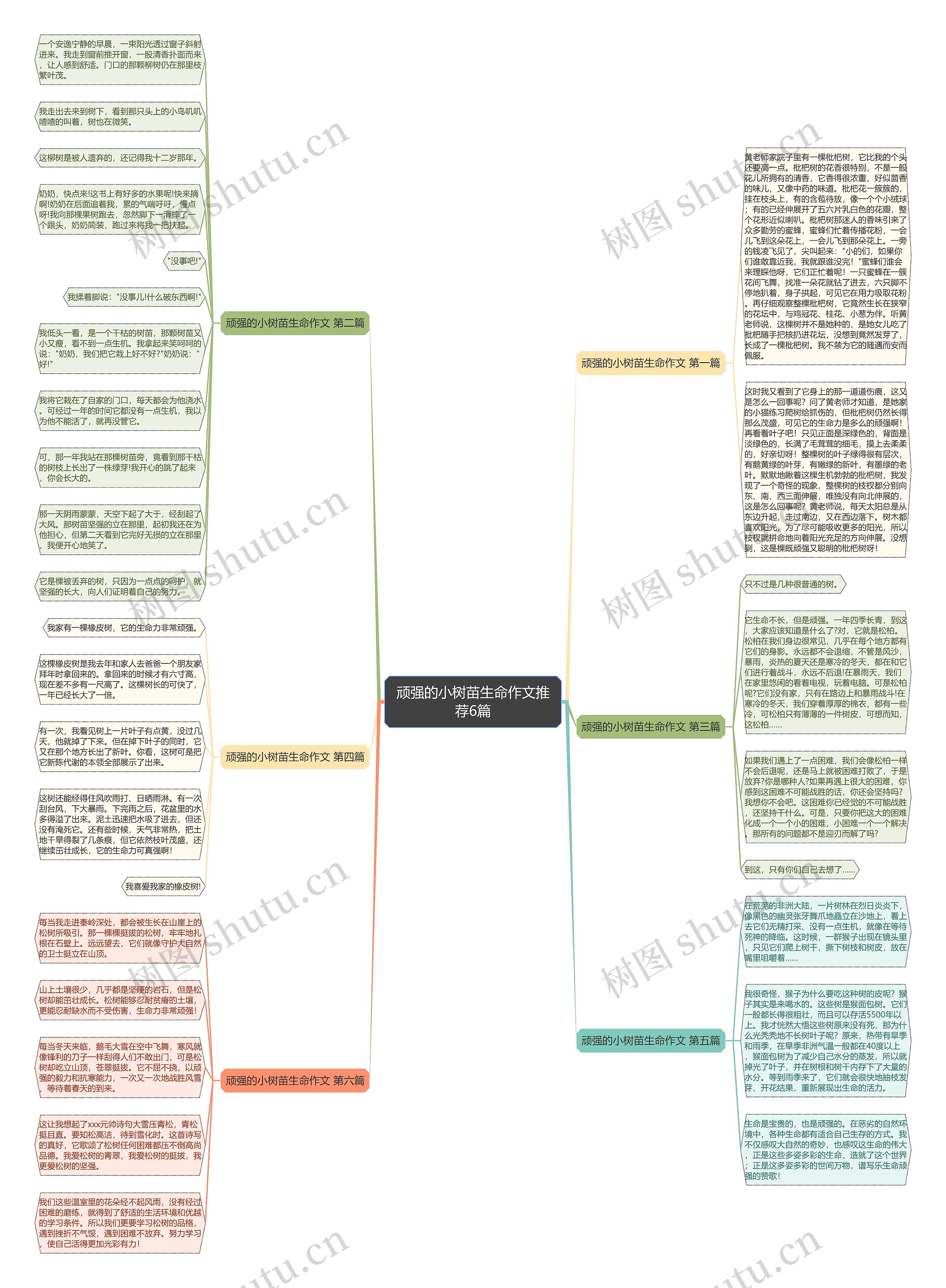 顽强的小树苗生命作文推荐6篇 顽强的小树苗生命作文推荐6篇