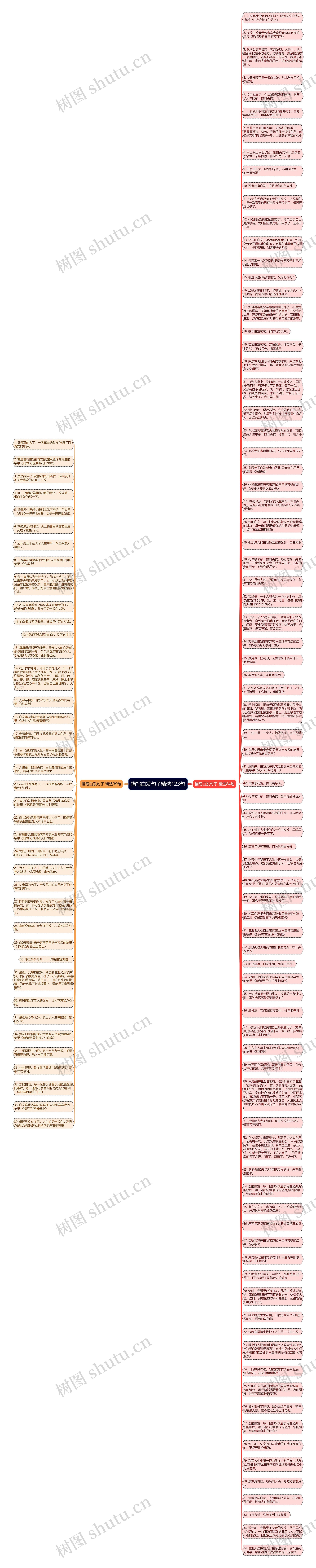 描写白发句子精选123句思维导图