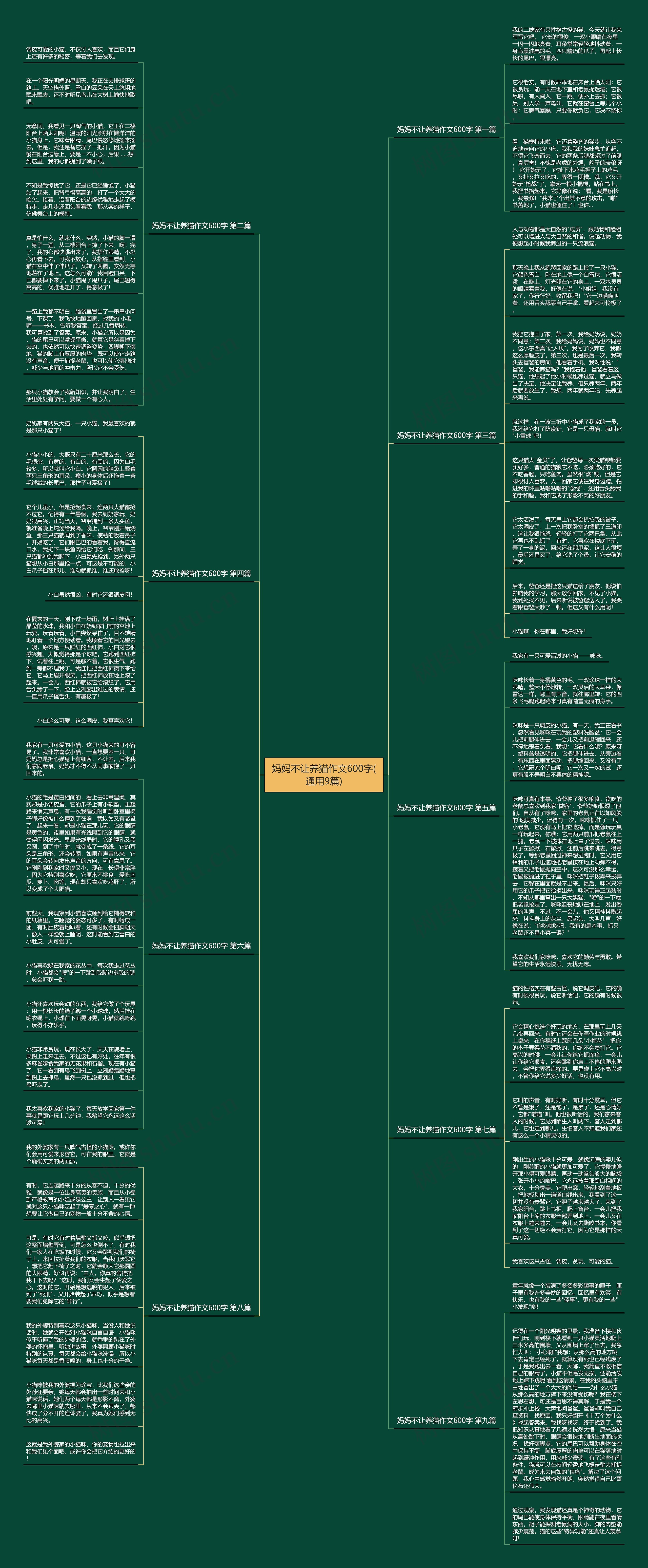 妈妈不让养猫作文600字(通用9篇)思维导图