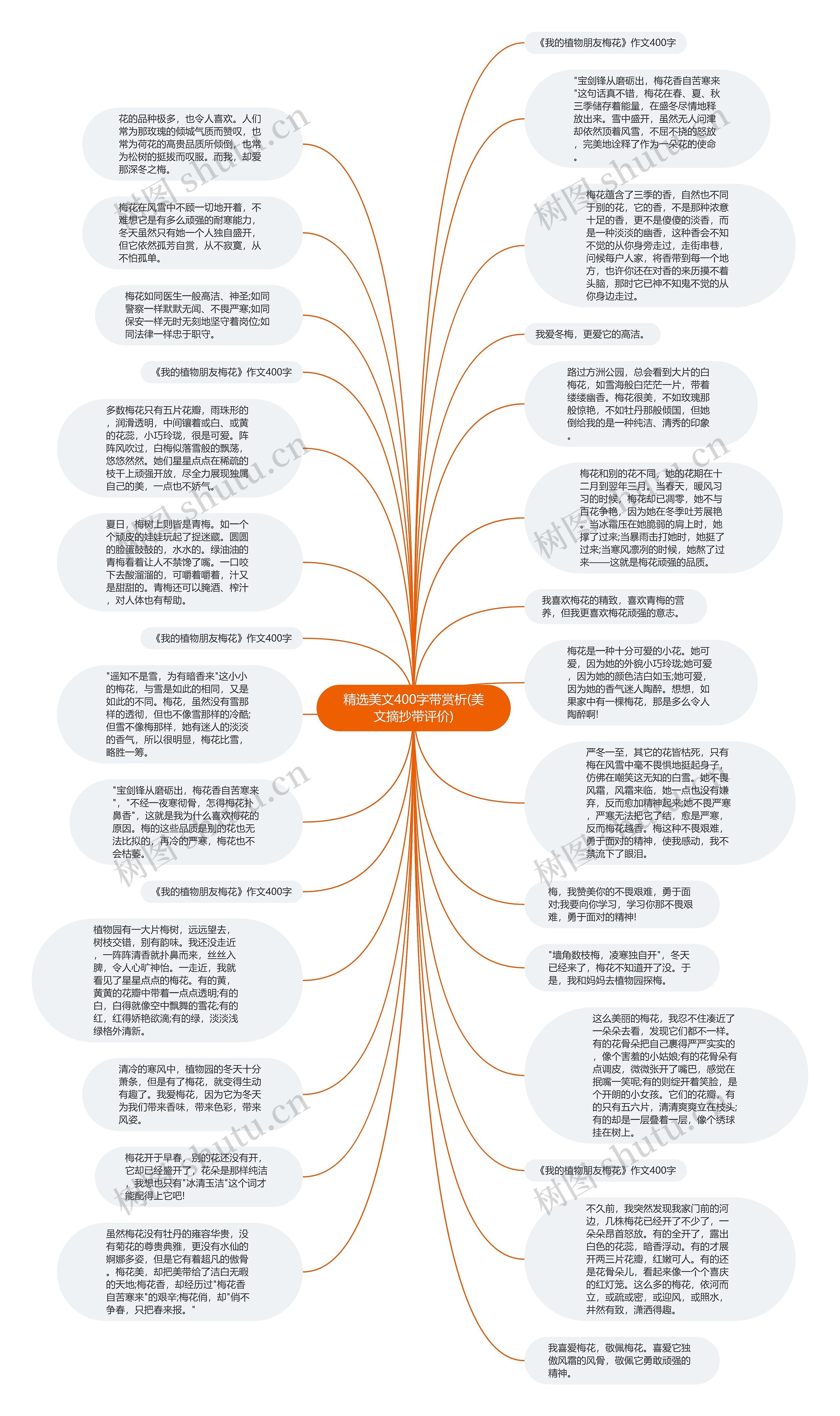 精选美文400字带赏析(美文摘抄带评价)思维导图