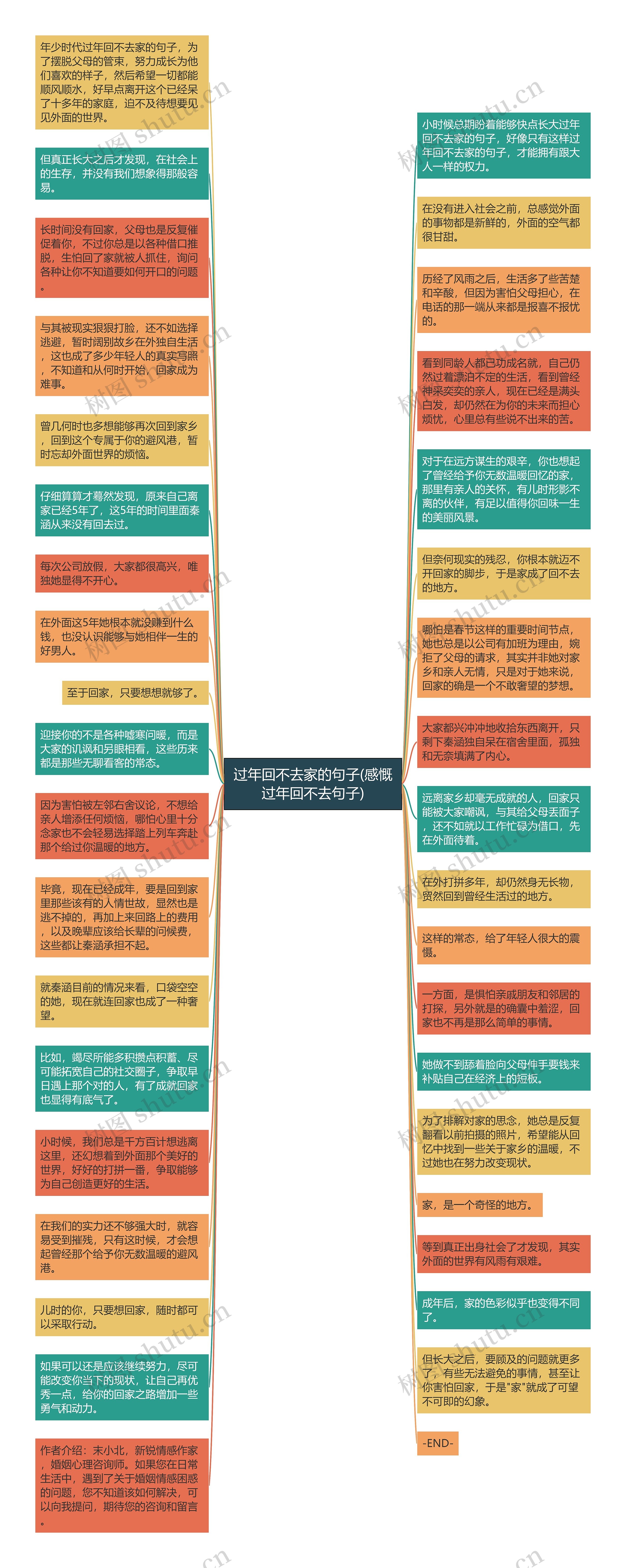 过年回不去家的句子(感慨过年回不去句子)