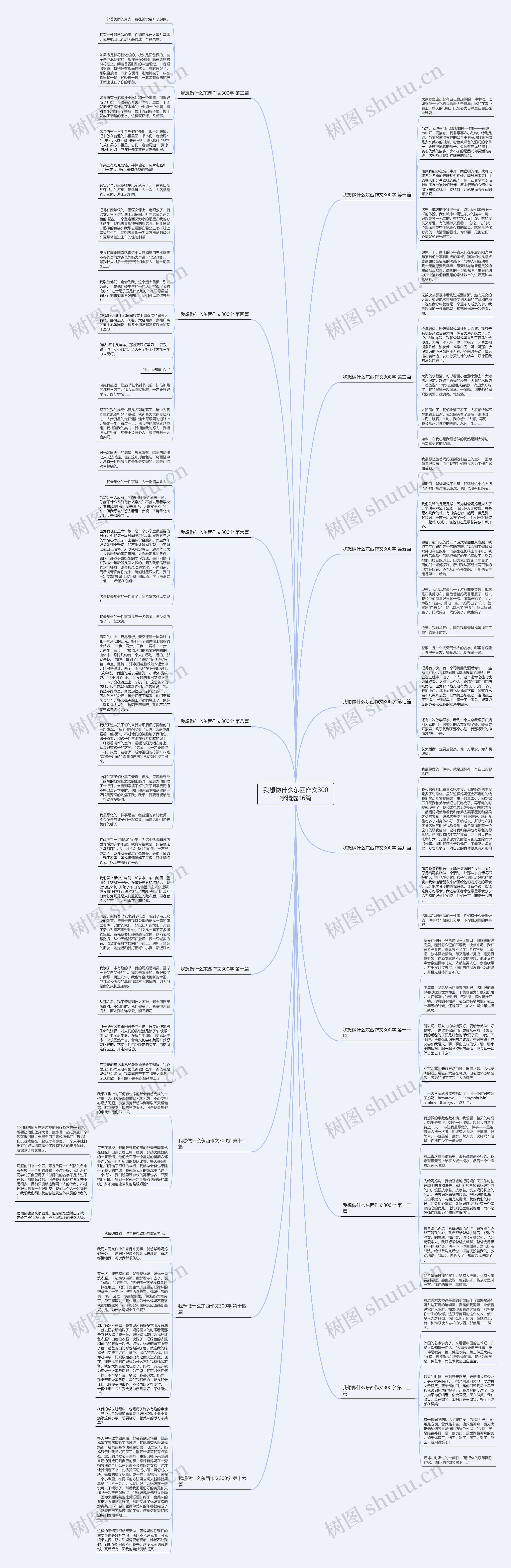 我想做什么东西作文300字精选16篇思维导图