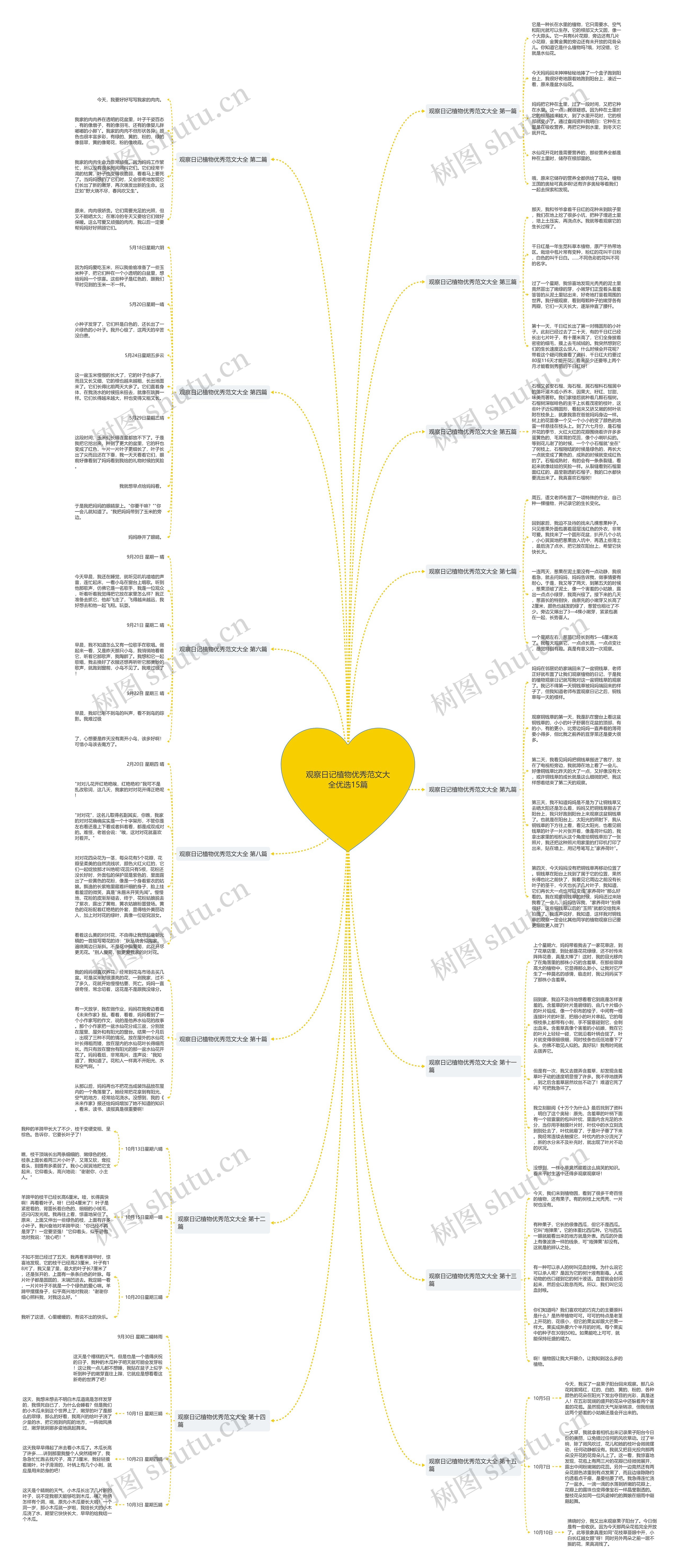 观察日记植物优秀范文大全优选15篇思维导图