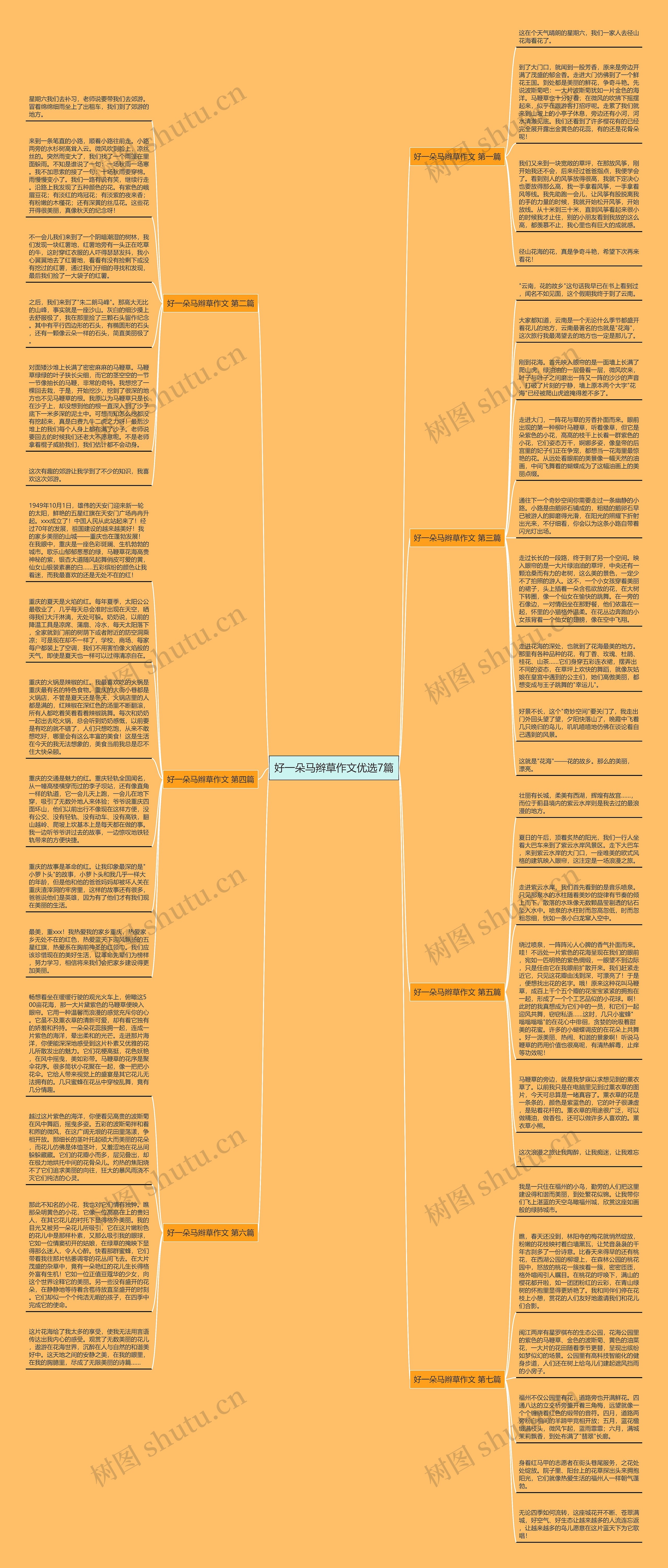 好一朵马辫草作文优选7篇思维导图