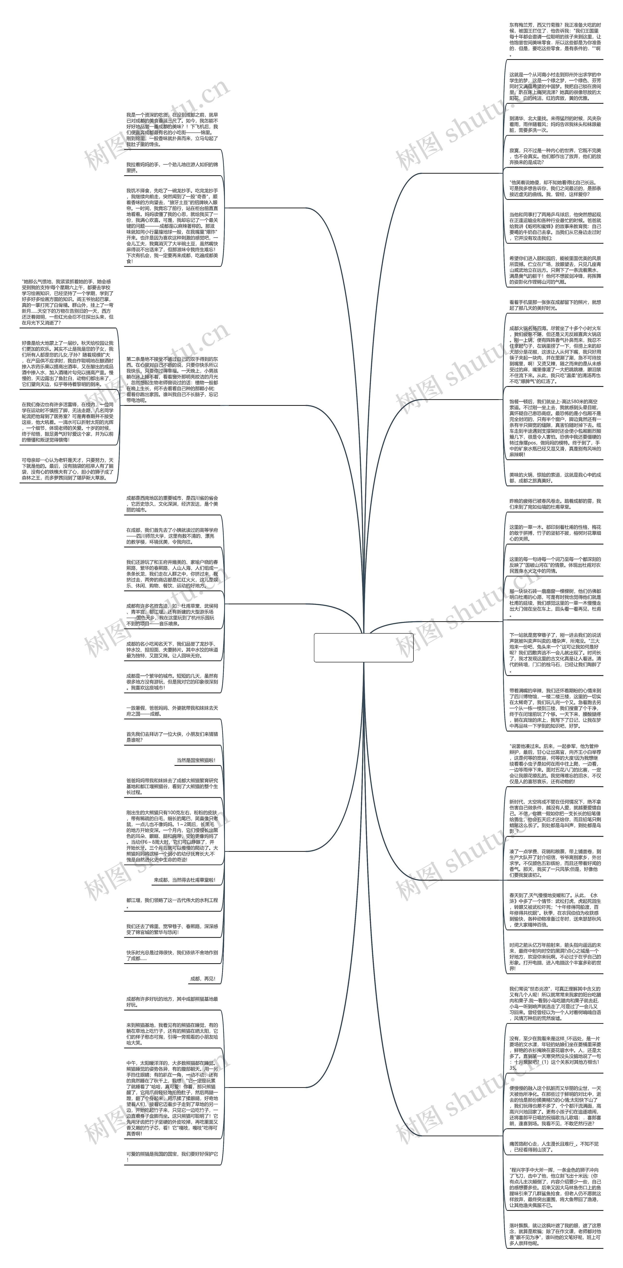 成都之旅作文200字共10篇思维导图