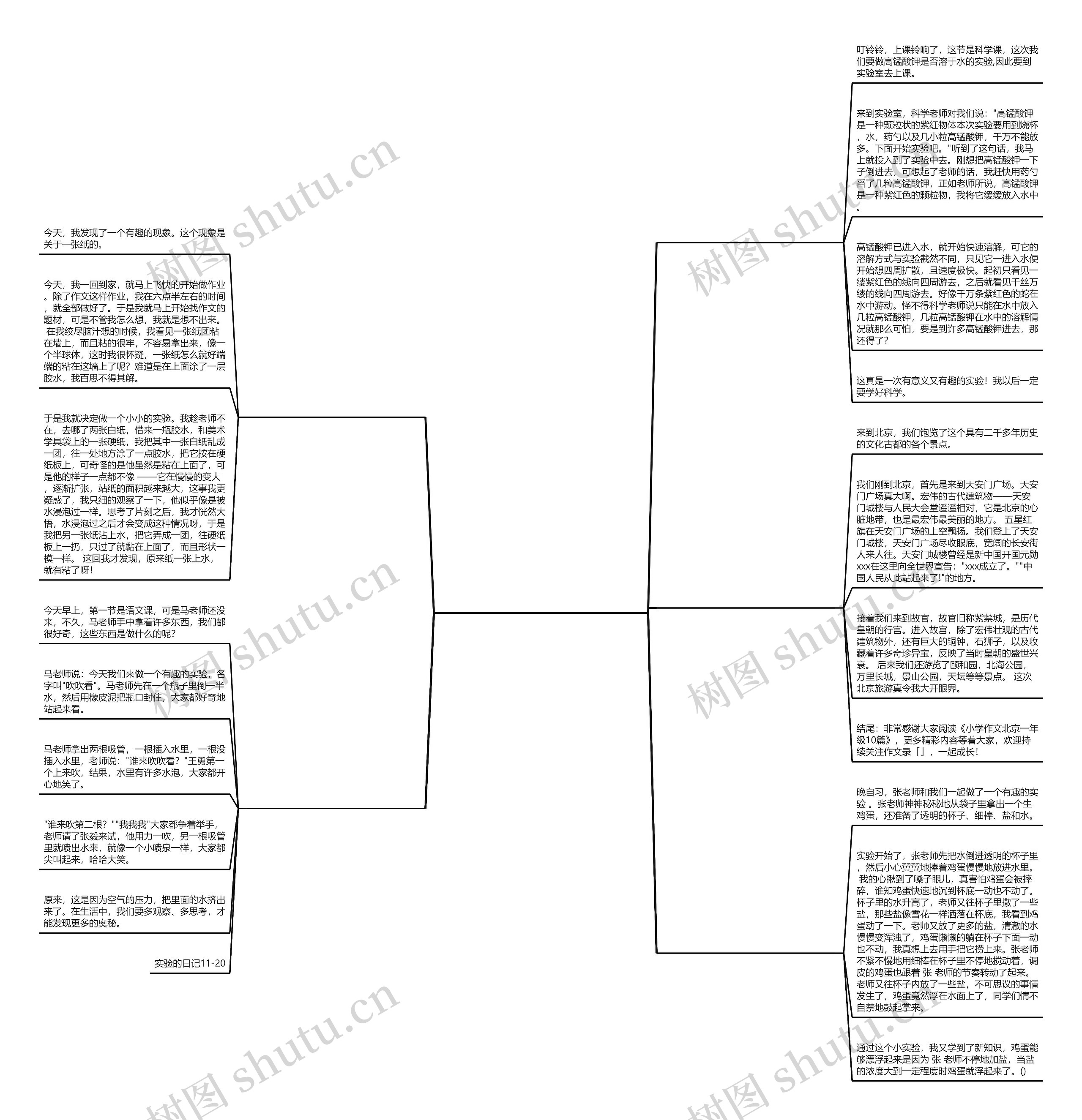 实验一小北京小学生作文推荐5篇 实验一小北京小学生作文推荐5篇
