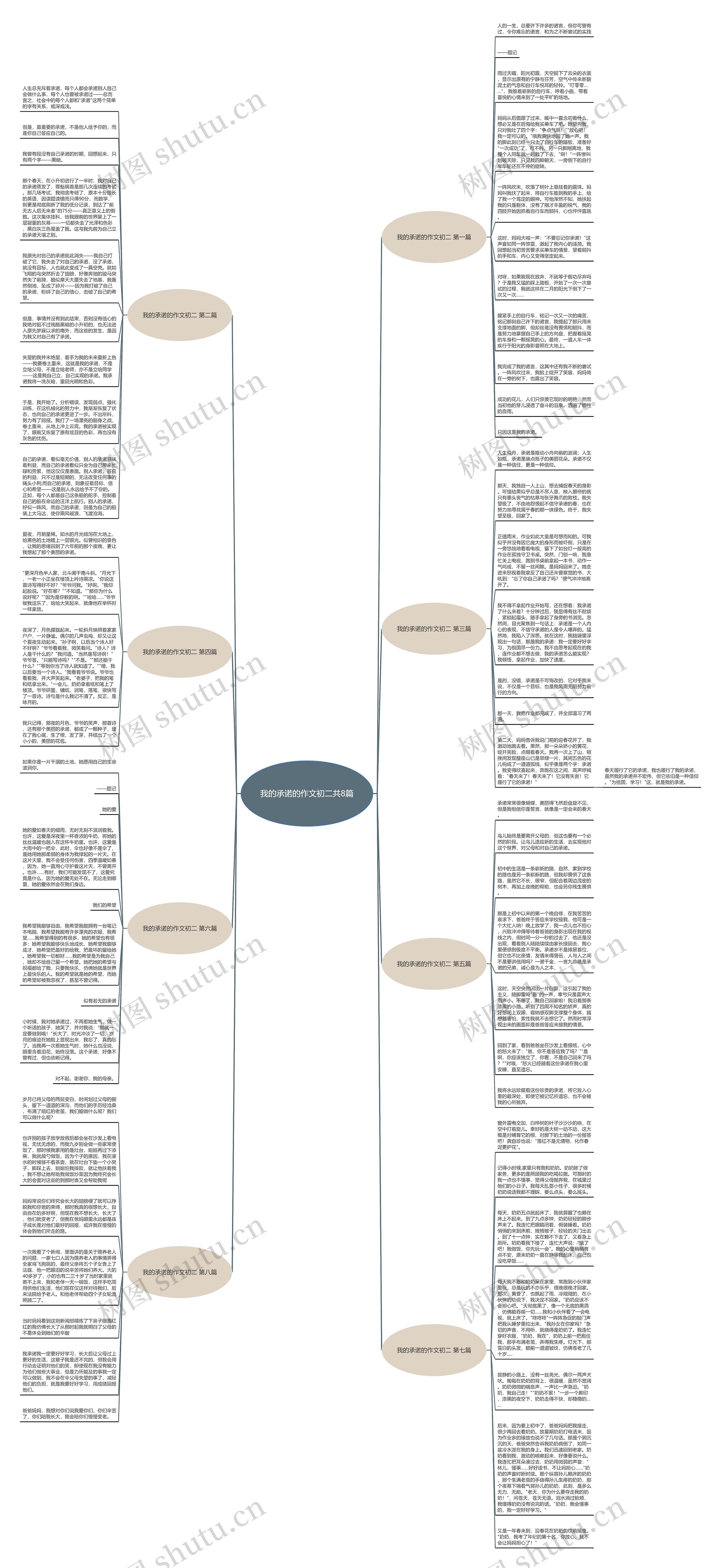 我的承诺的作文初二共8篇思维导图
