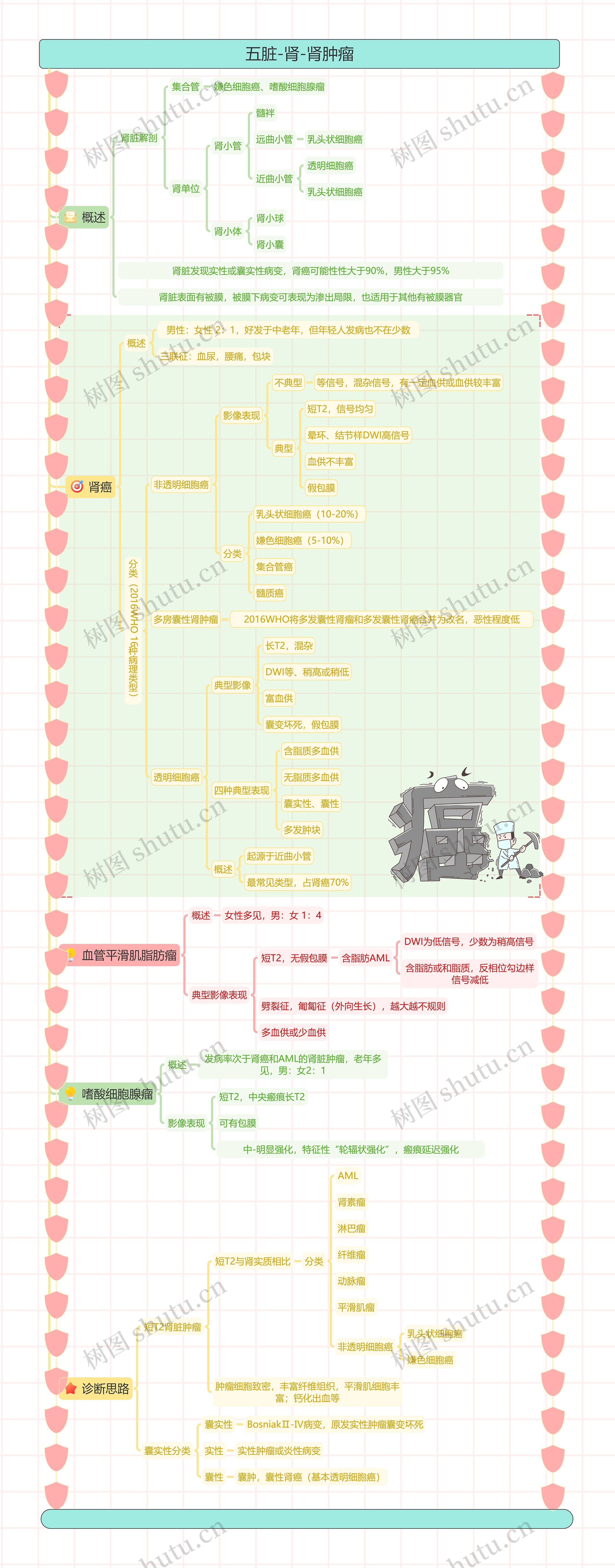 五脏-肾-肾肿瘤思维导图