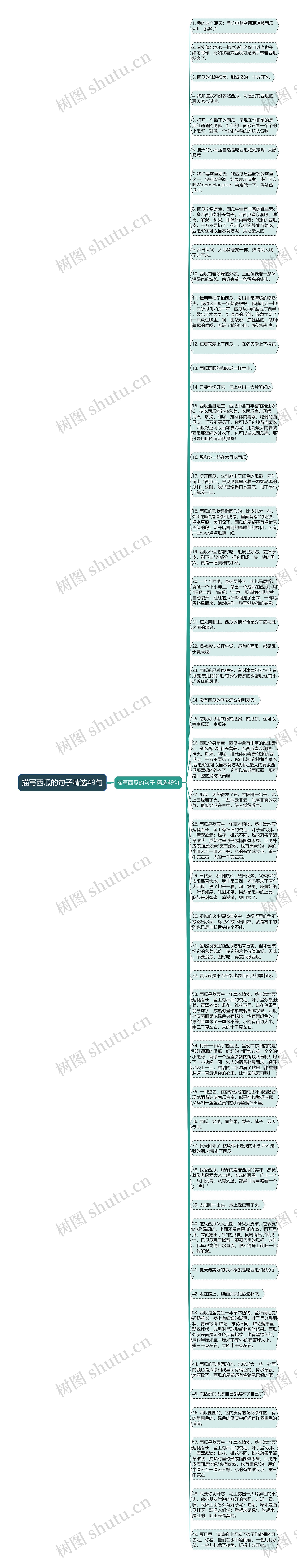 描写西瓜的句子精选49句思维导图