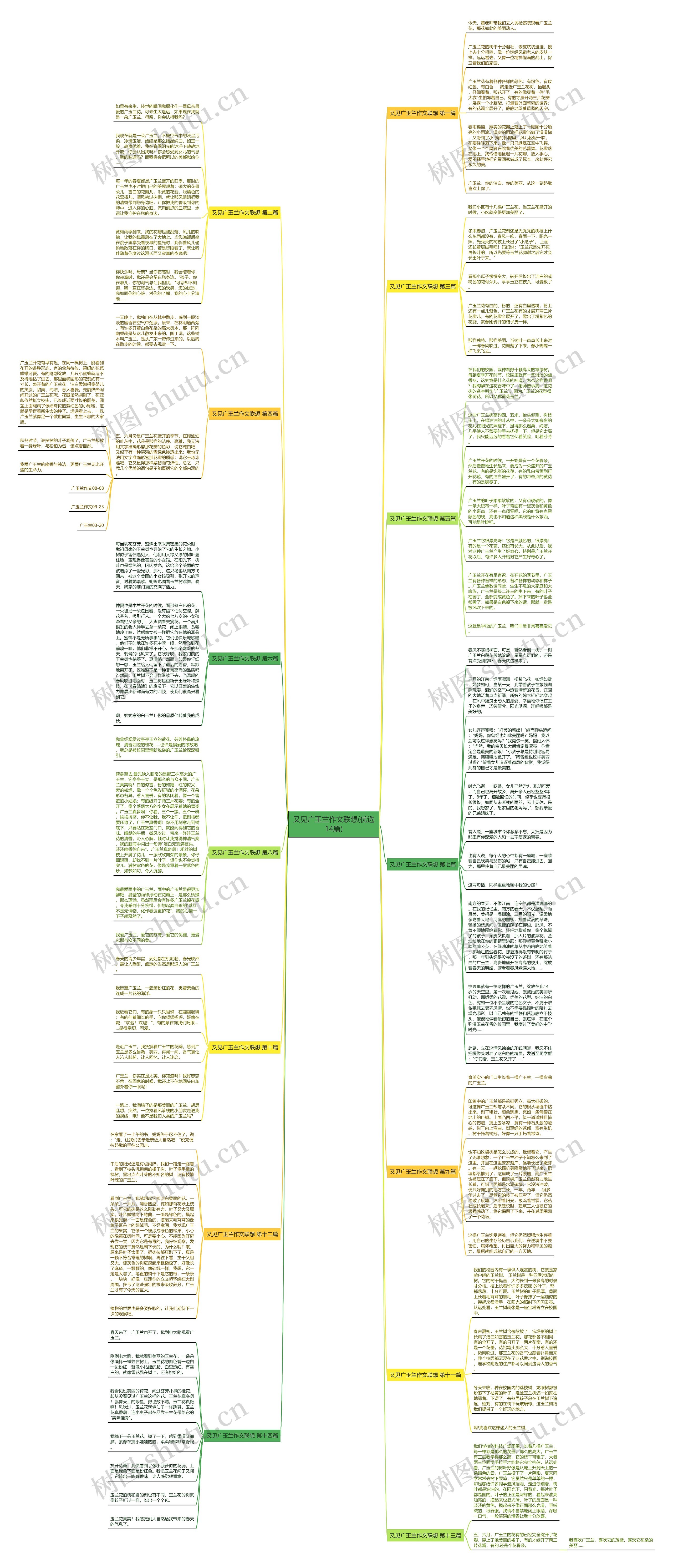 又见广玉兰作文联想(优选14篇)思维导图