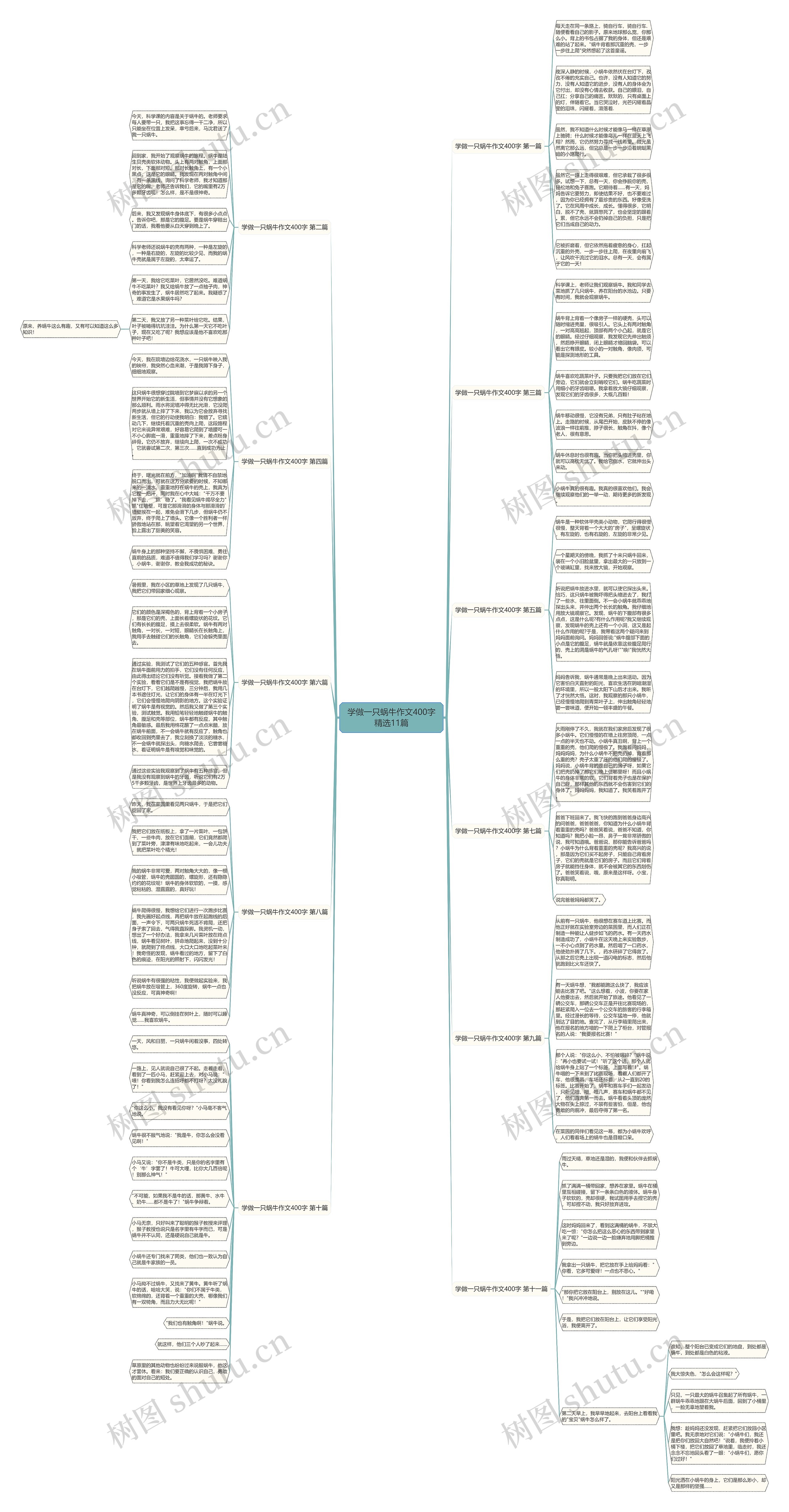 学做一只蜗牛作文400字精选11篇 学做一只蜗牛作文400字精选11篇