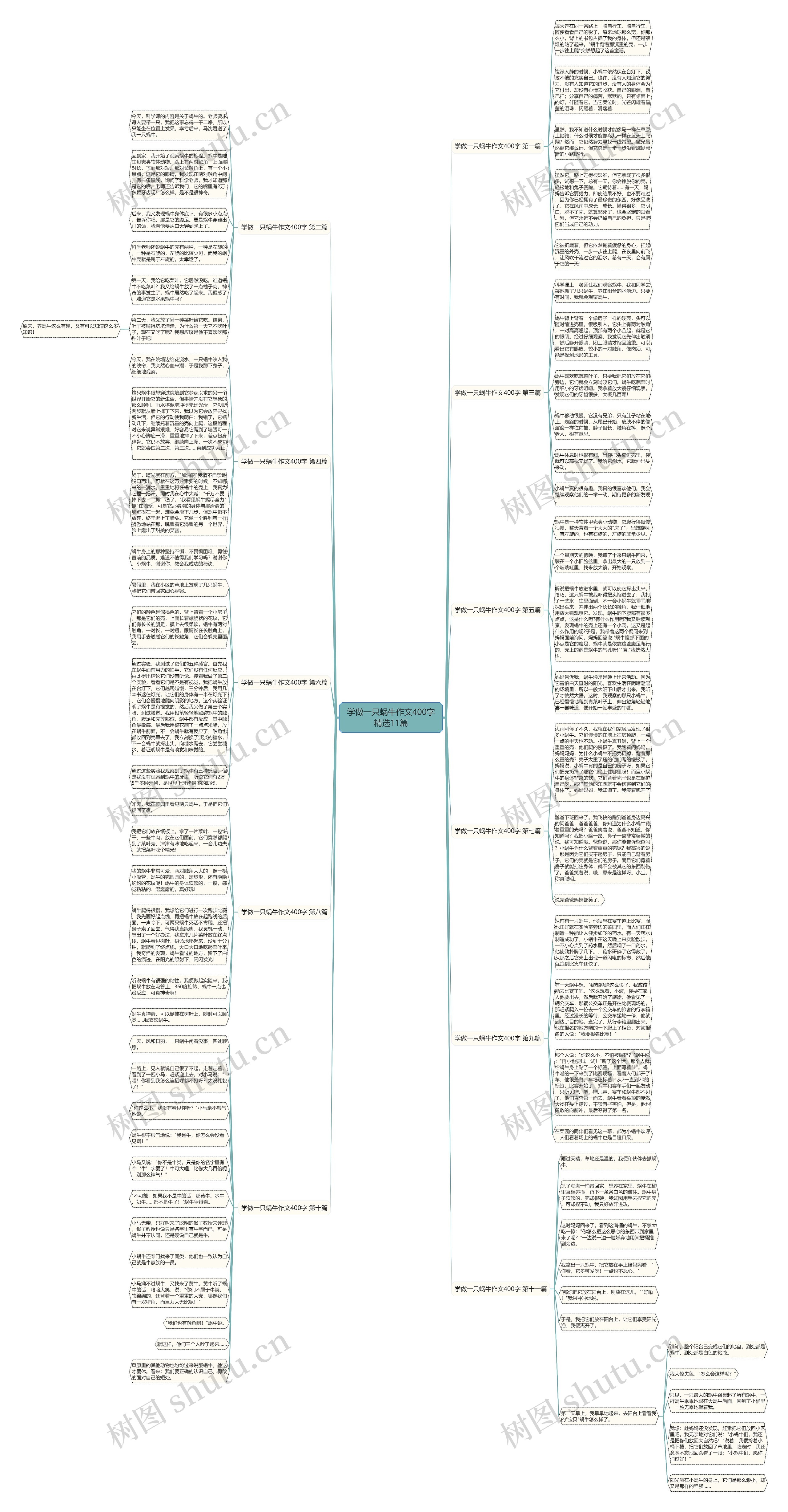 学做一只蜗牛作文400字精选11篇思维导图