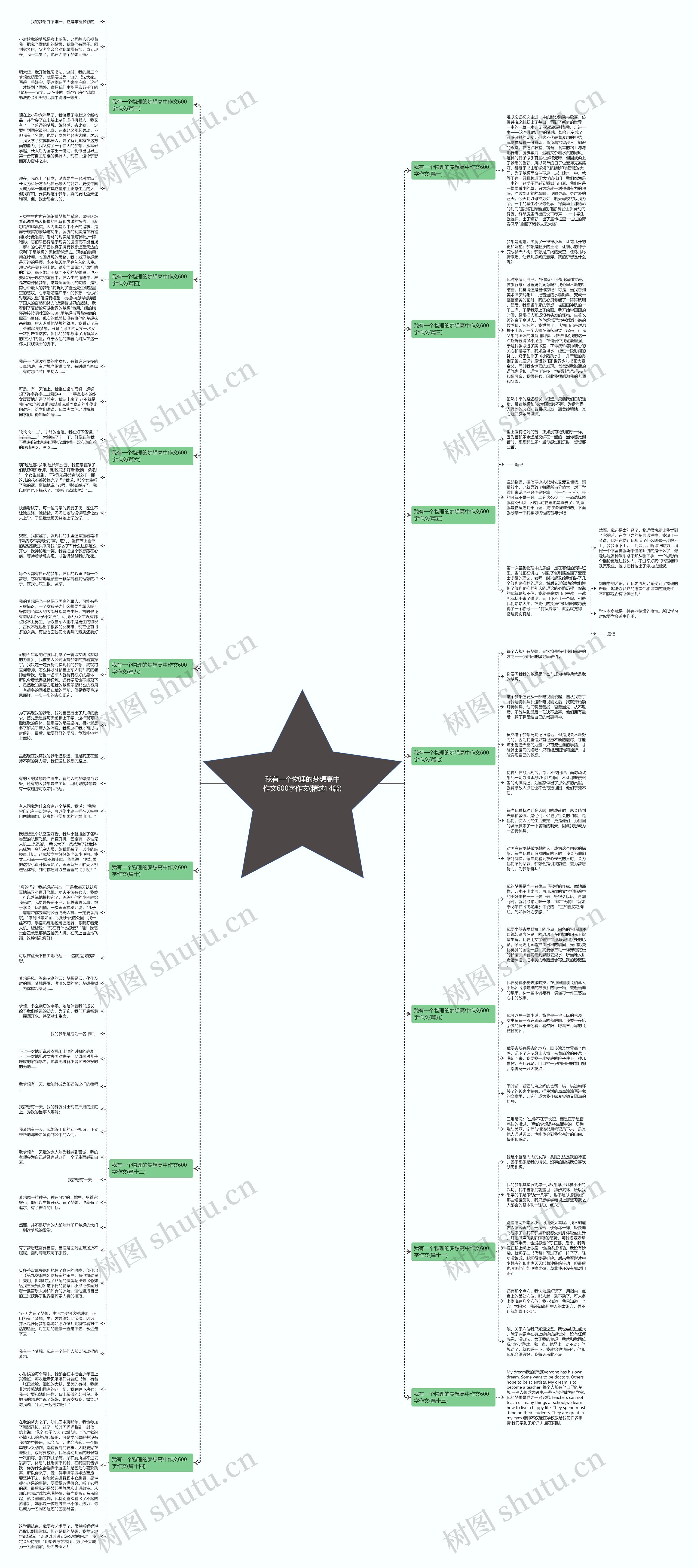 我有一个物理的梦想高中作文600字作文(精选14篇)思维导图