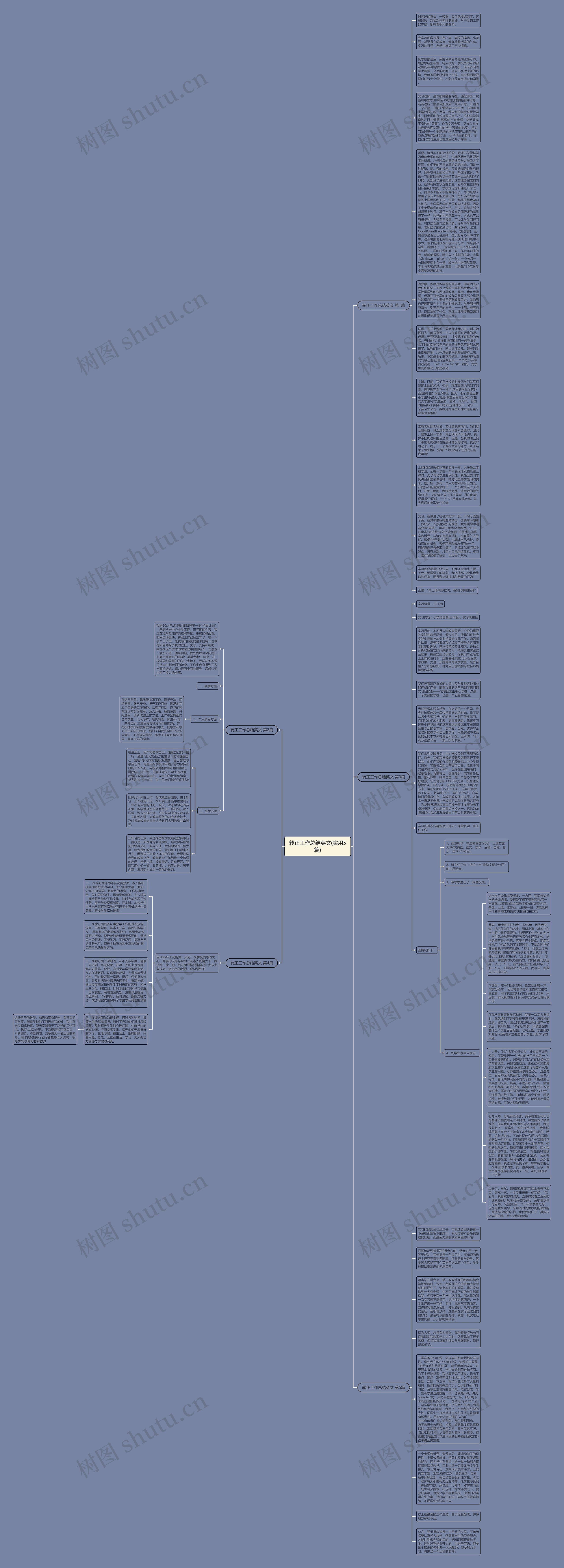 转正工作总结英文(实用5篇)思维导图