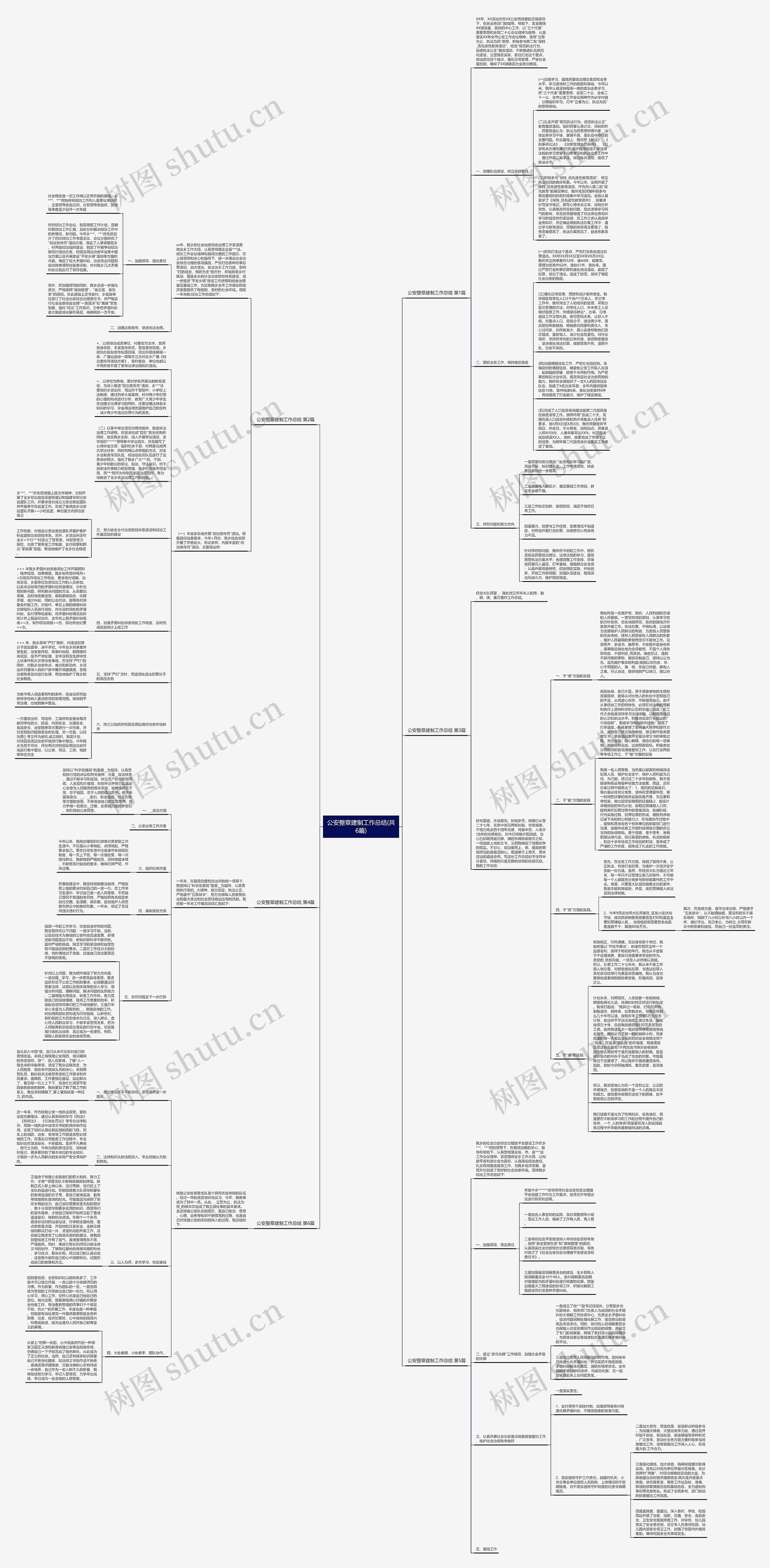 公安整章建制工作总结(共6篇)思维导图