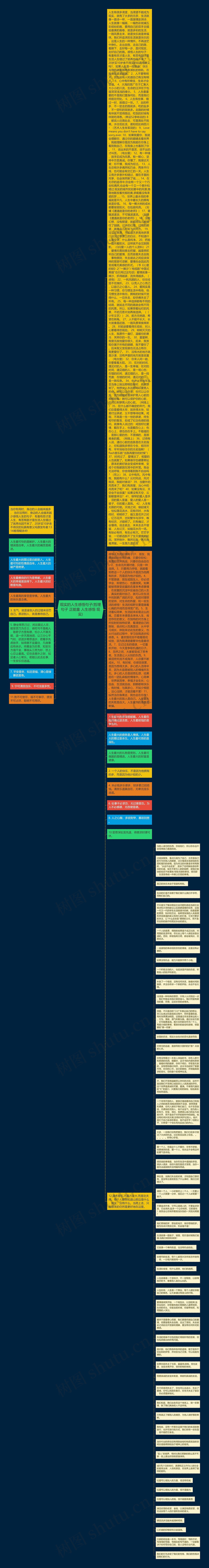 现实的人生感悟句子(哲理句子 正能量 人生感悟 现实)思维导图