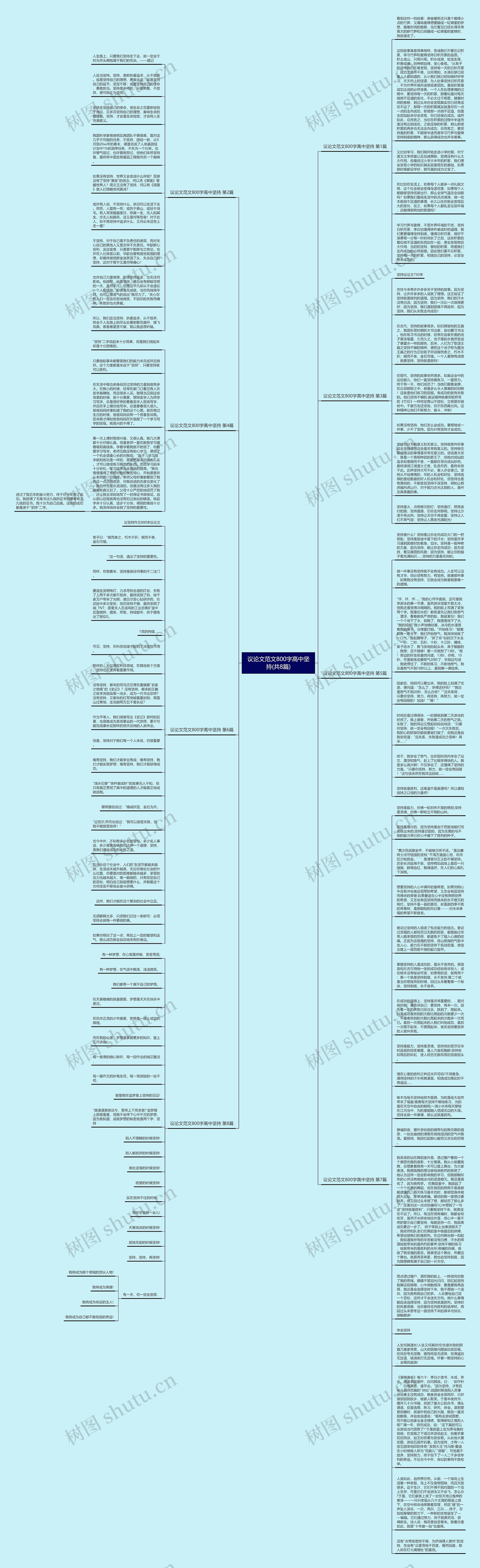议论文范文800字高中坚持(共8篇)思维导图