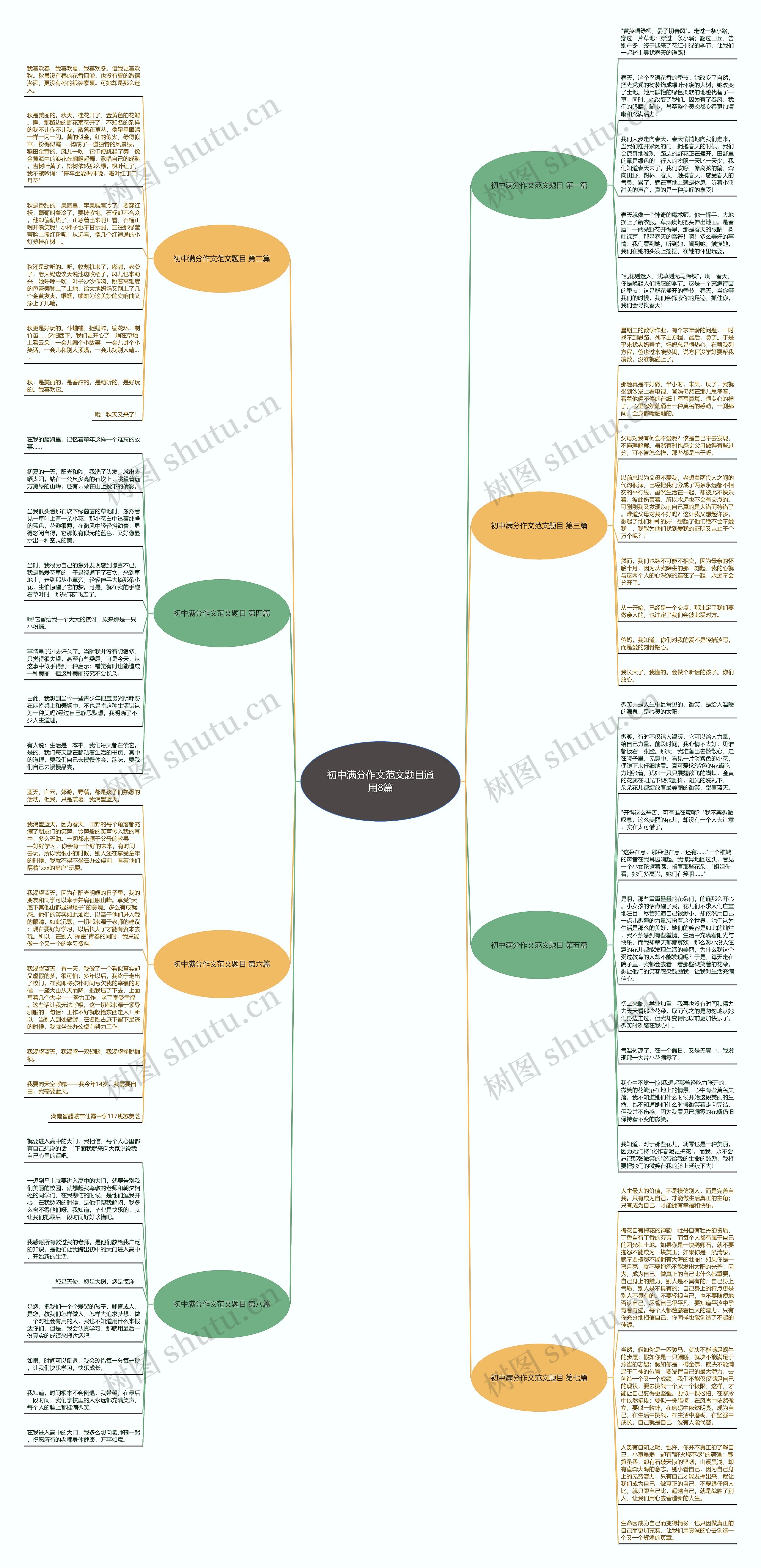 初中满分作文范文题目通用8篇思维导图