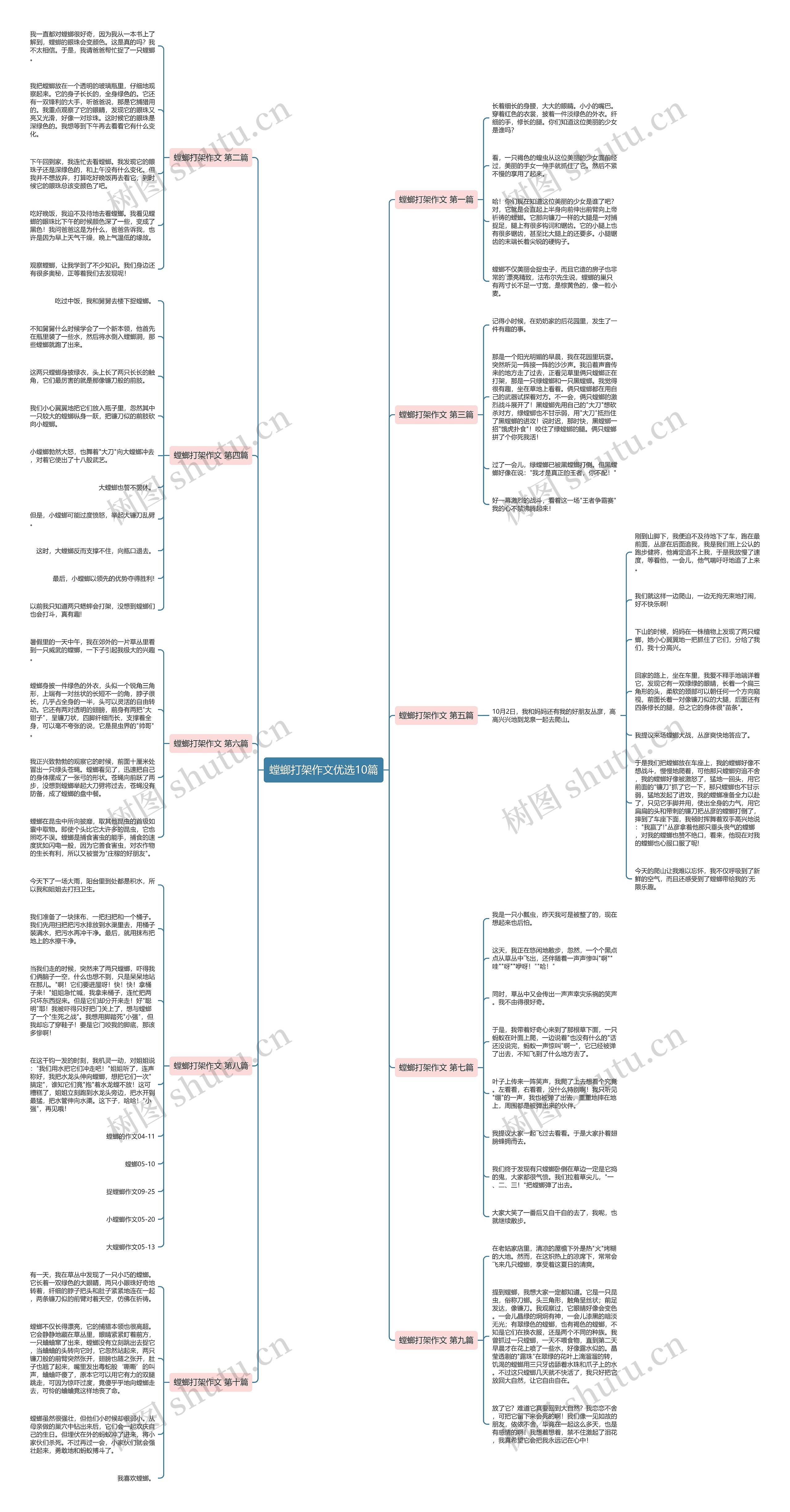 螳螂打架作文优选10篇思维导图