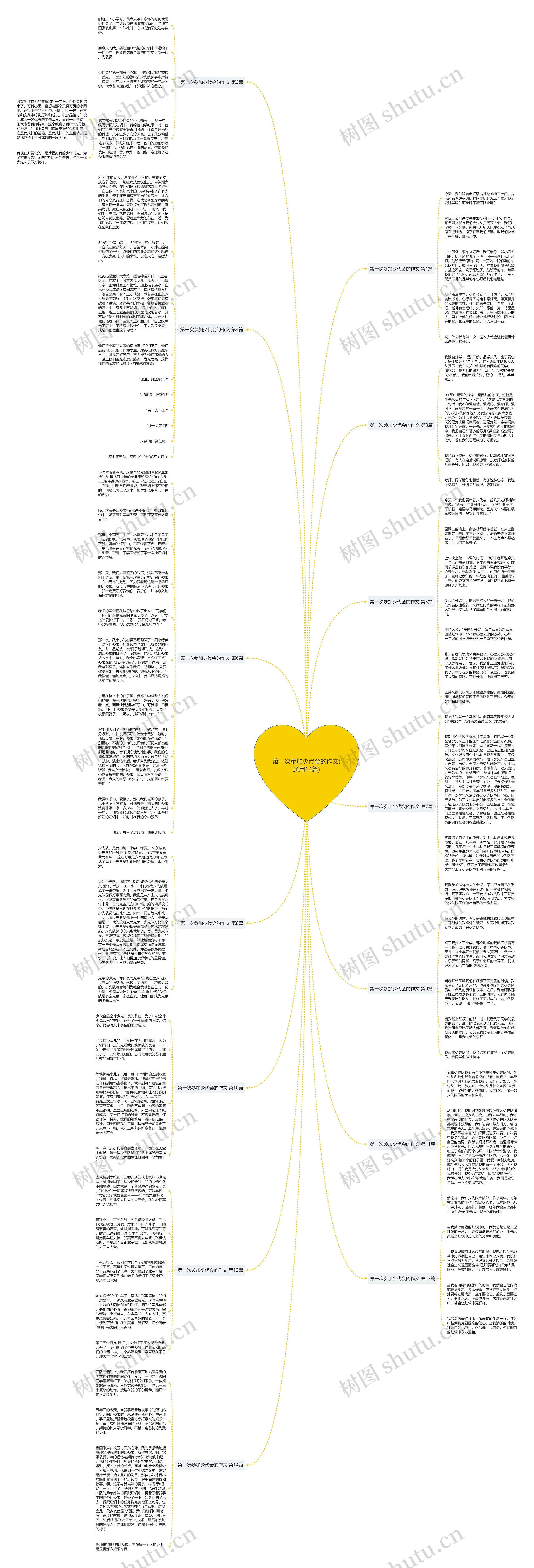 第一次参加少代会的作文(通用14篇)思维导图