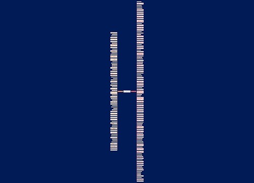 留守老人的句子精选163句