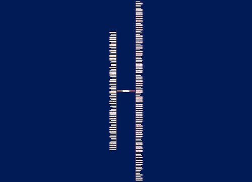 留守老人的句子精选163句