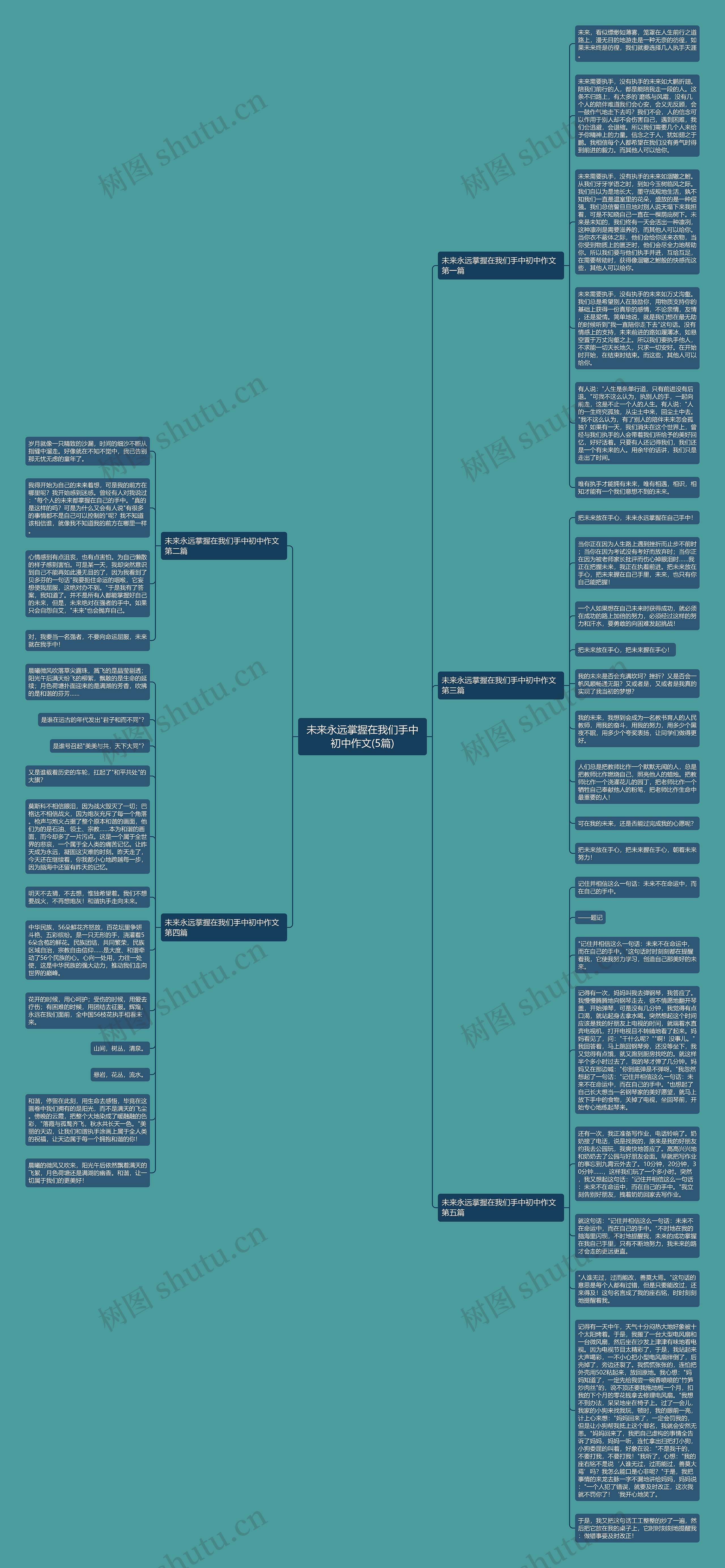 未来永远掌握在我们手中初中作文(5篇)思维导图