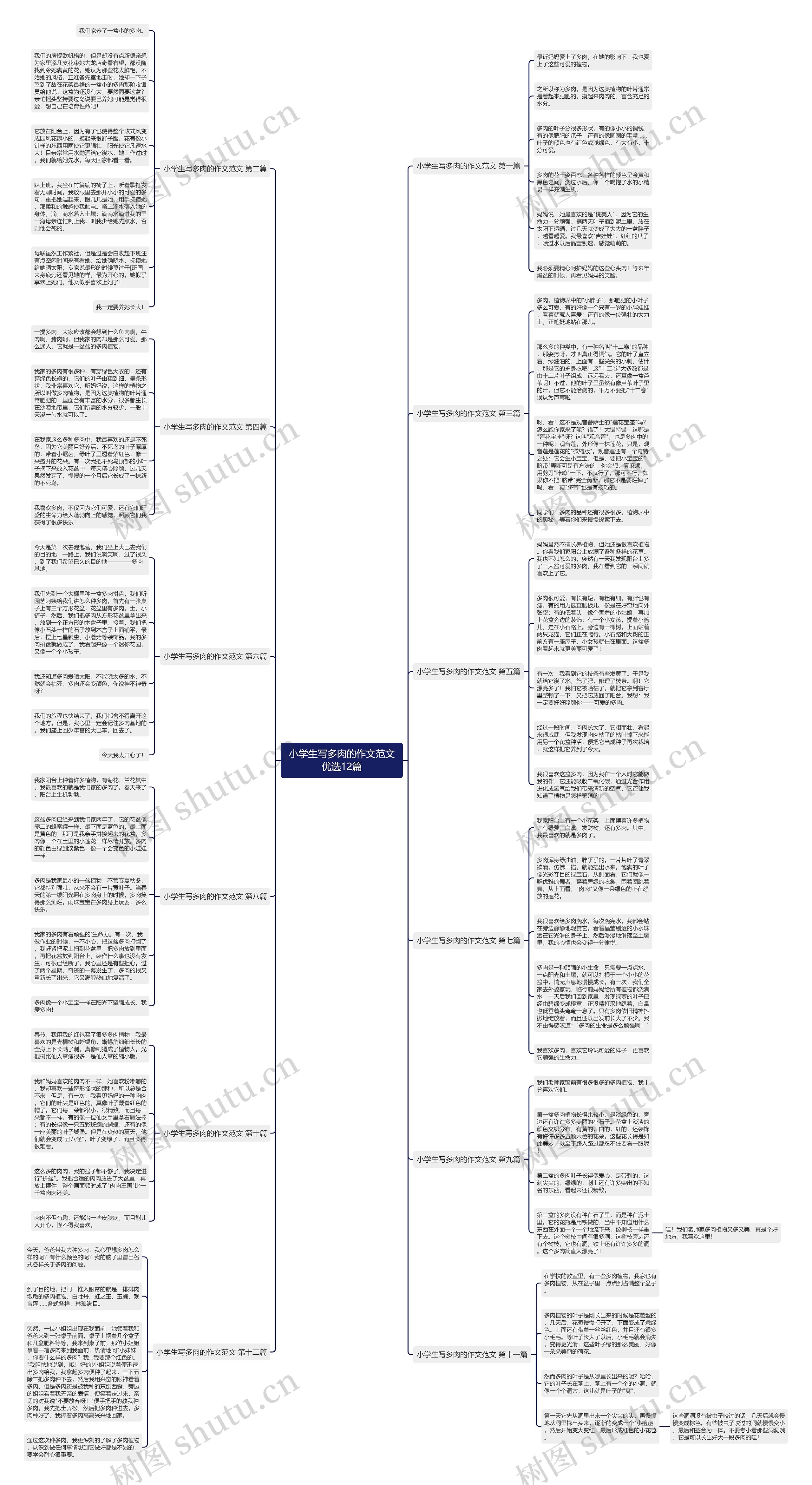 小学生写多肉的作文范文优选12篇思维导图
