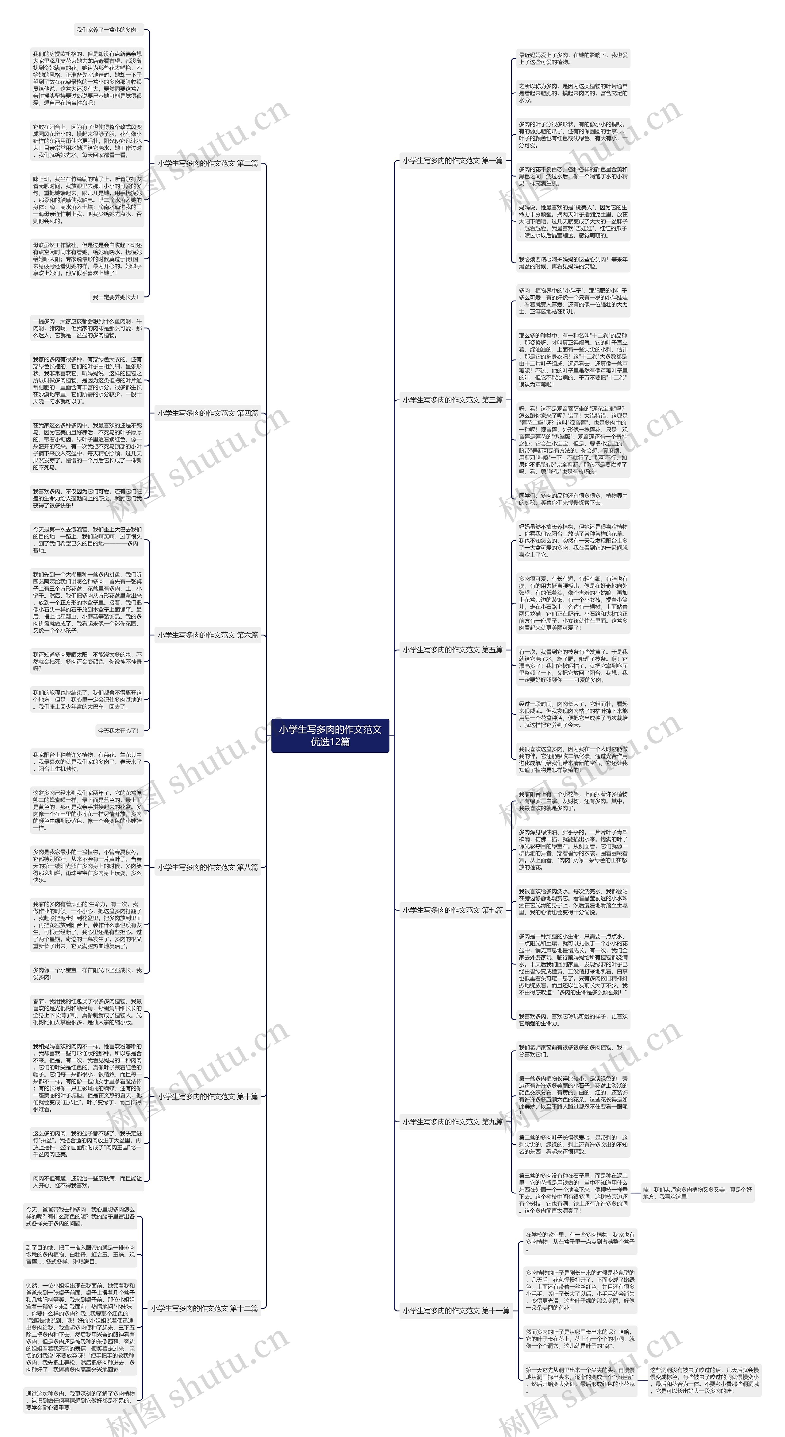 小学生写多肉的作文范文优选12篇 小学生写多肉的作文范文优选12篇