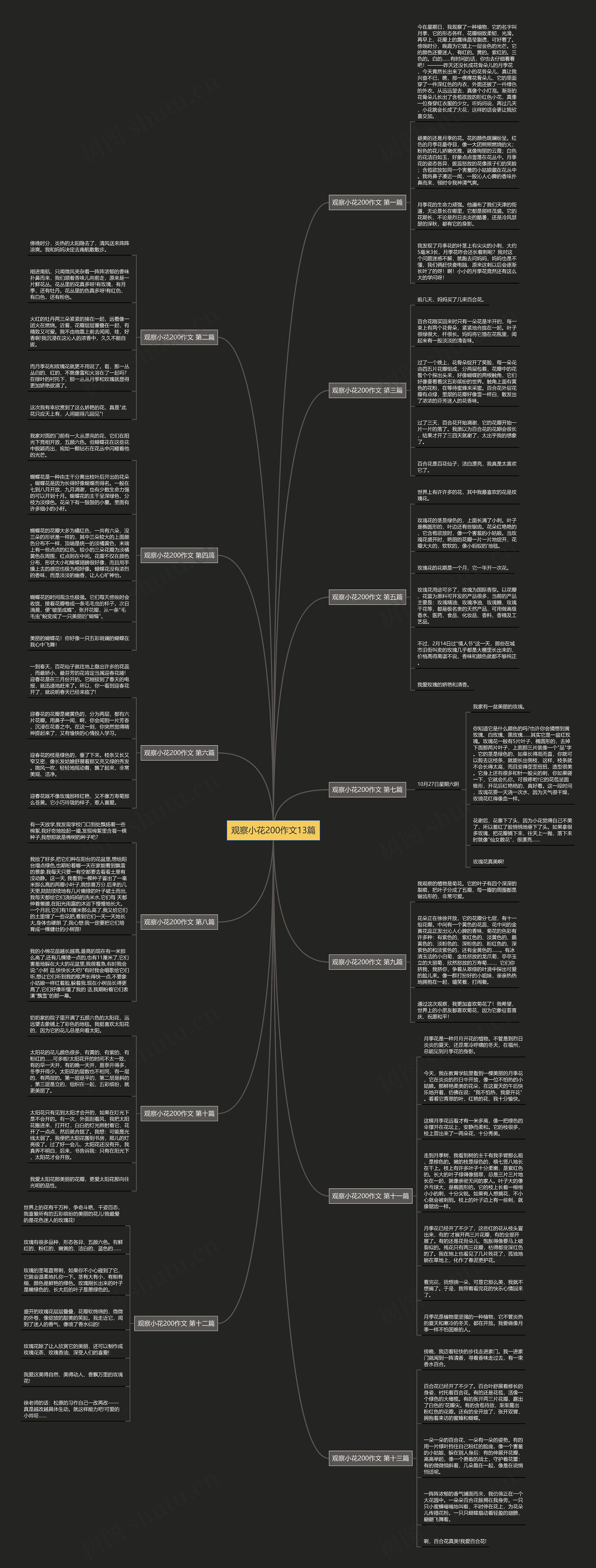 观察小花200作文13篇思维导图