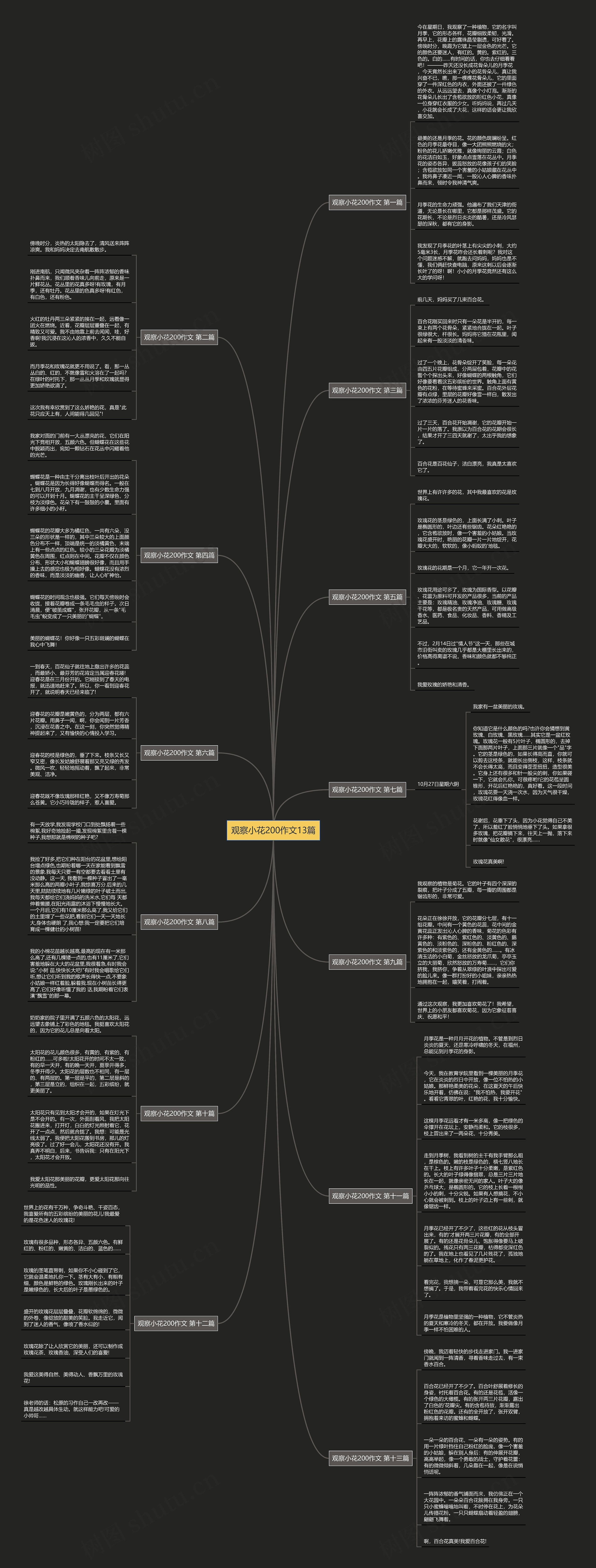观察小花200作文13篇 观察小花200作文13篇