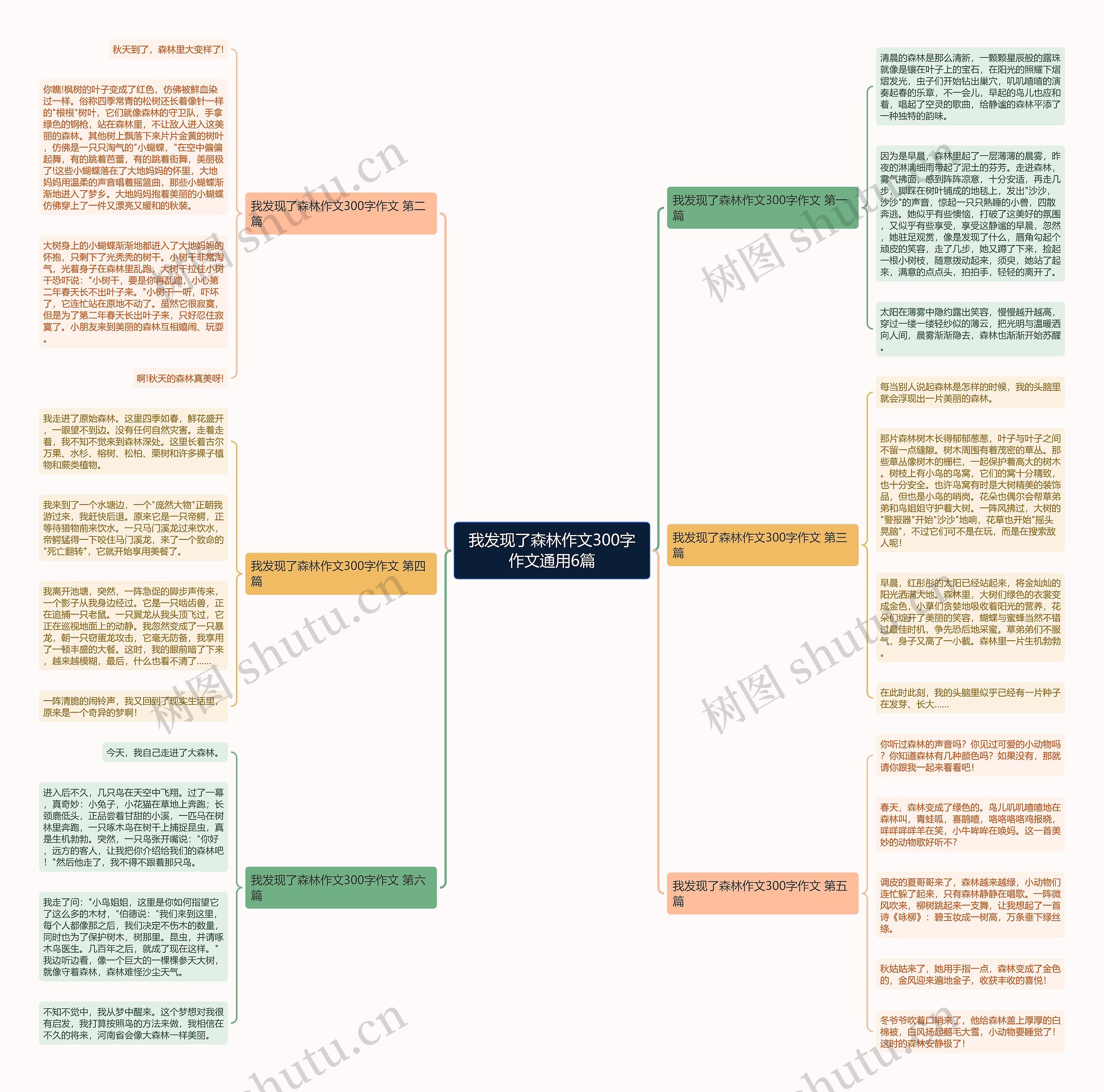 我发现了森林作文300字作文通用6篇思维导图